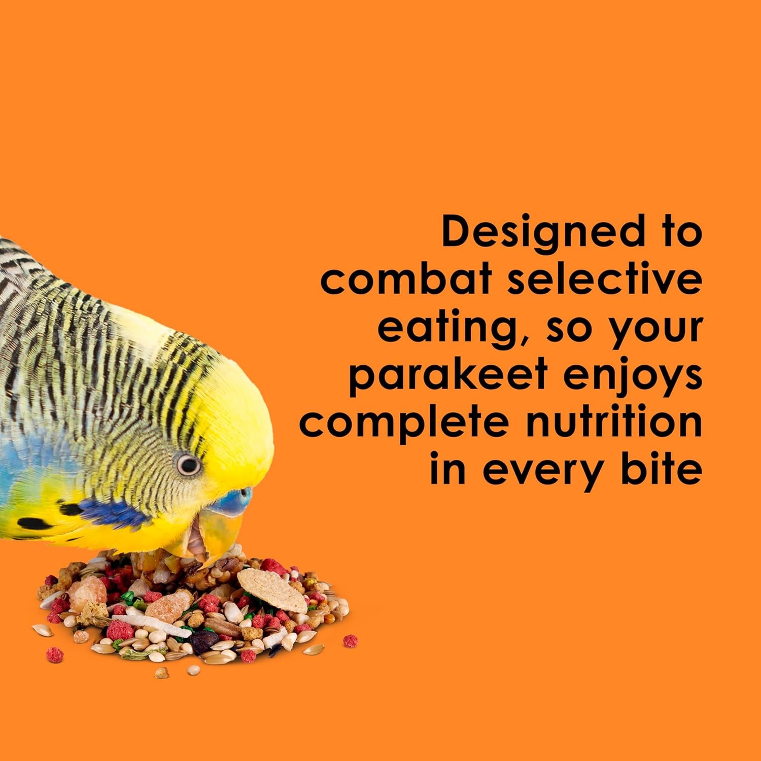 image:imageKaytee Fiesta Parakeet Food Nutritious and Fun Blend 2 Pounds2 Pound Pack of 1