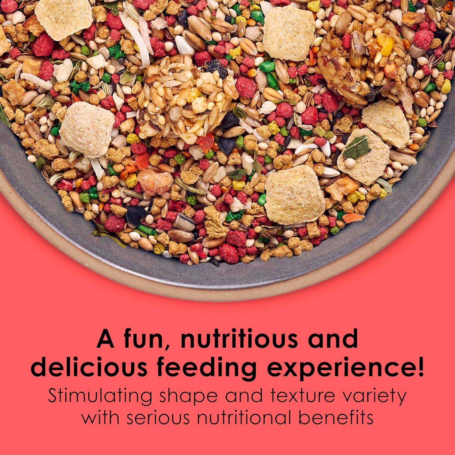 image:imageKaytee Fiesta Parakeet Food Nutritious and Fun Blend 2 Pounds2 Pound Pack of 1