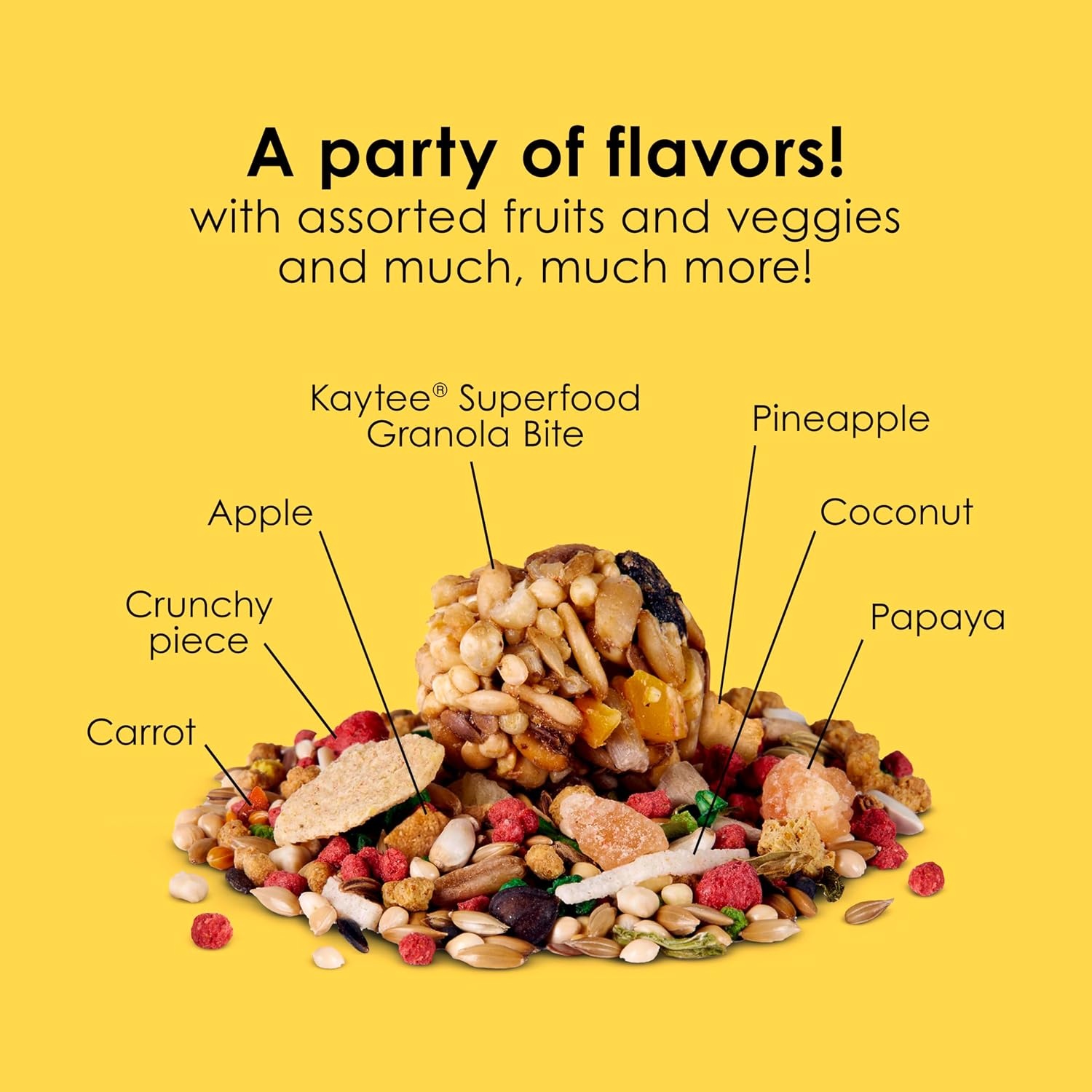 image:imageKaytee Fiesta Parakeet Food Nutritious and Fun Blend 2 Pounds2 Pound Pack of 1
