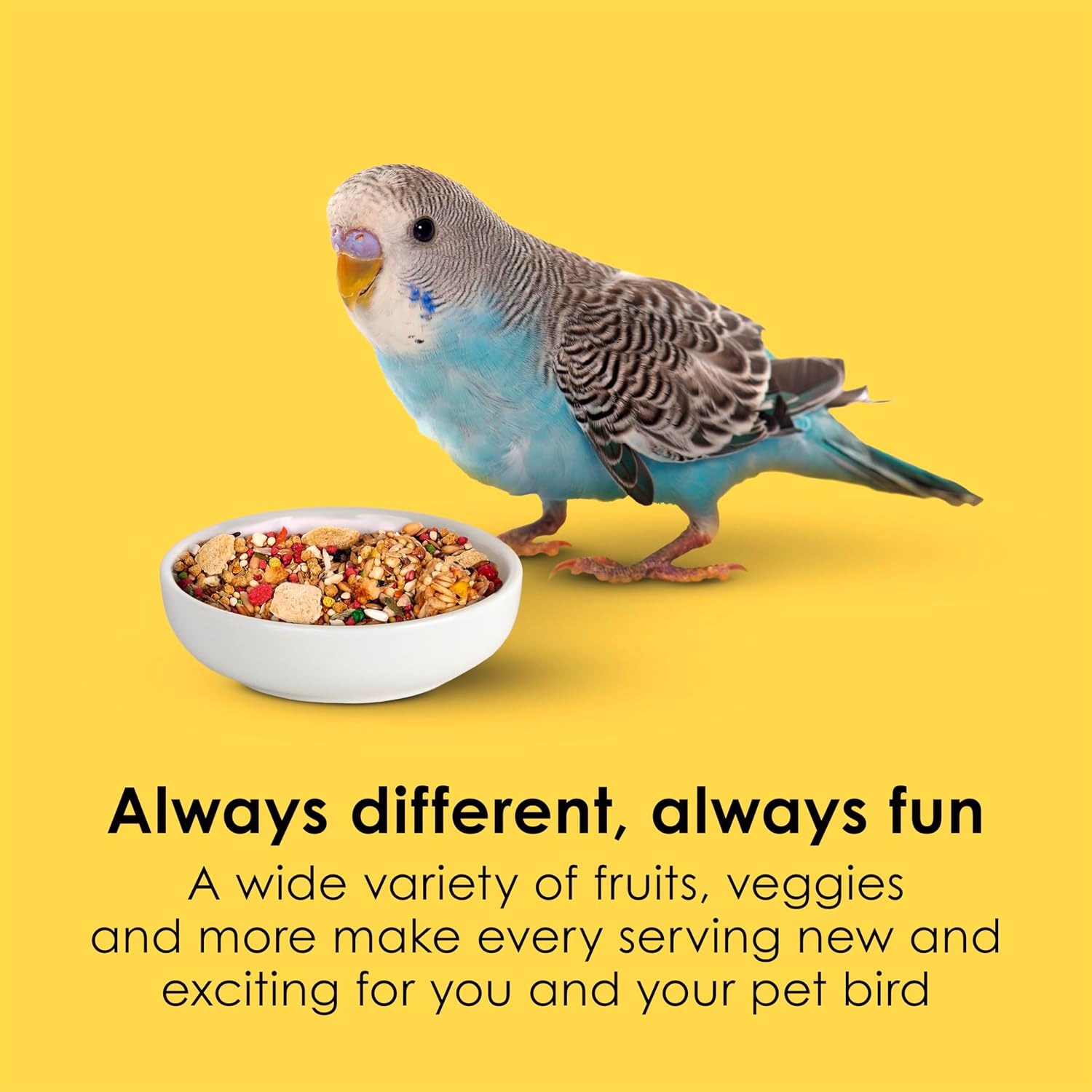 image:imageKaytee Fiesta Parakeet Food Nutritious and Fun Blend 2 Pounds2 Pound Pack of 2