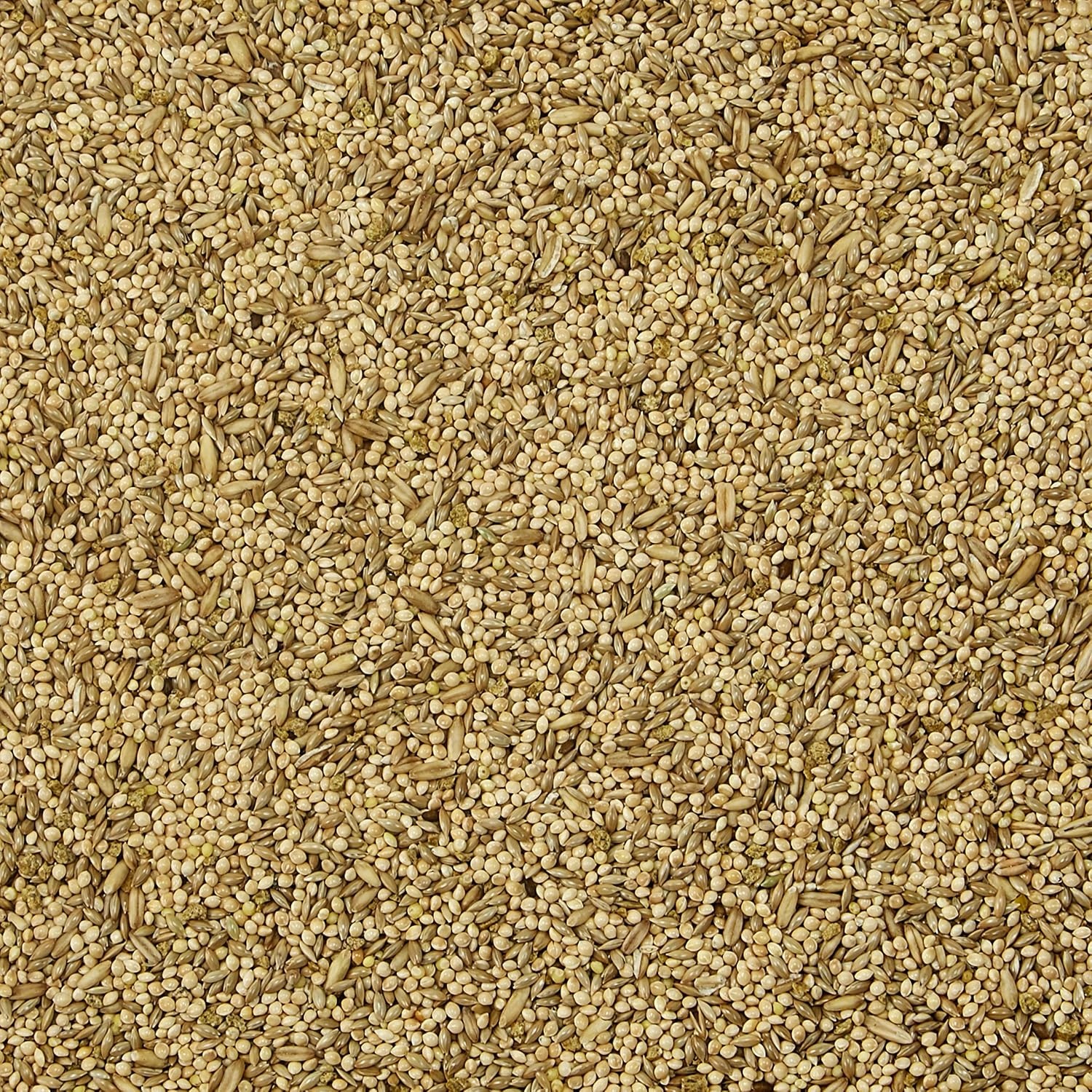 image:imageKaytee Fiesta Parakeet Food Nutritious and Fun Blend 2 Pounds5 Pound Pack of 1