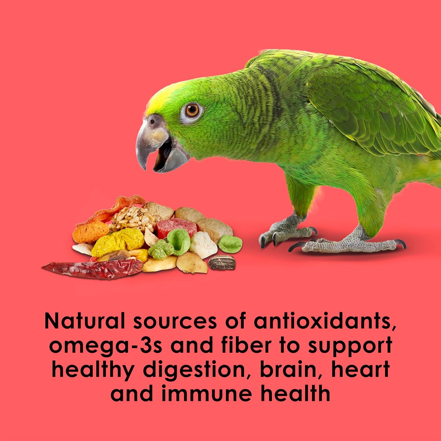 image:imageKaytee Fiesta Parrot Food for Large Birds 25 Pounds25 Pound Pack of 1