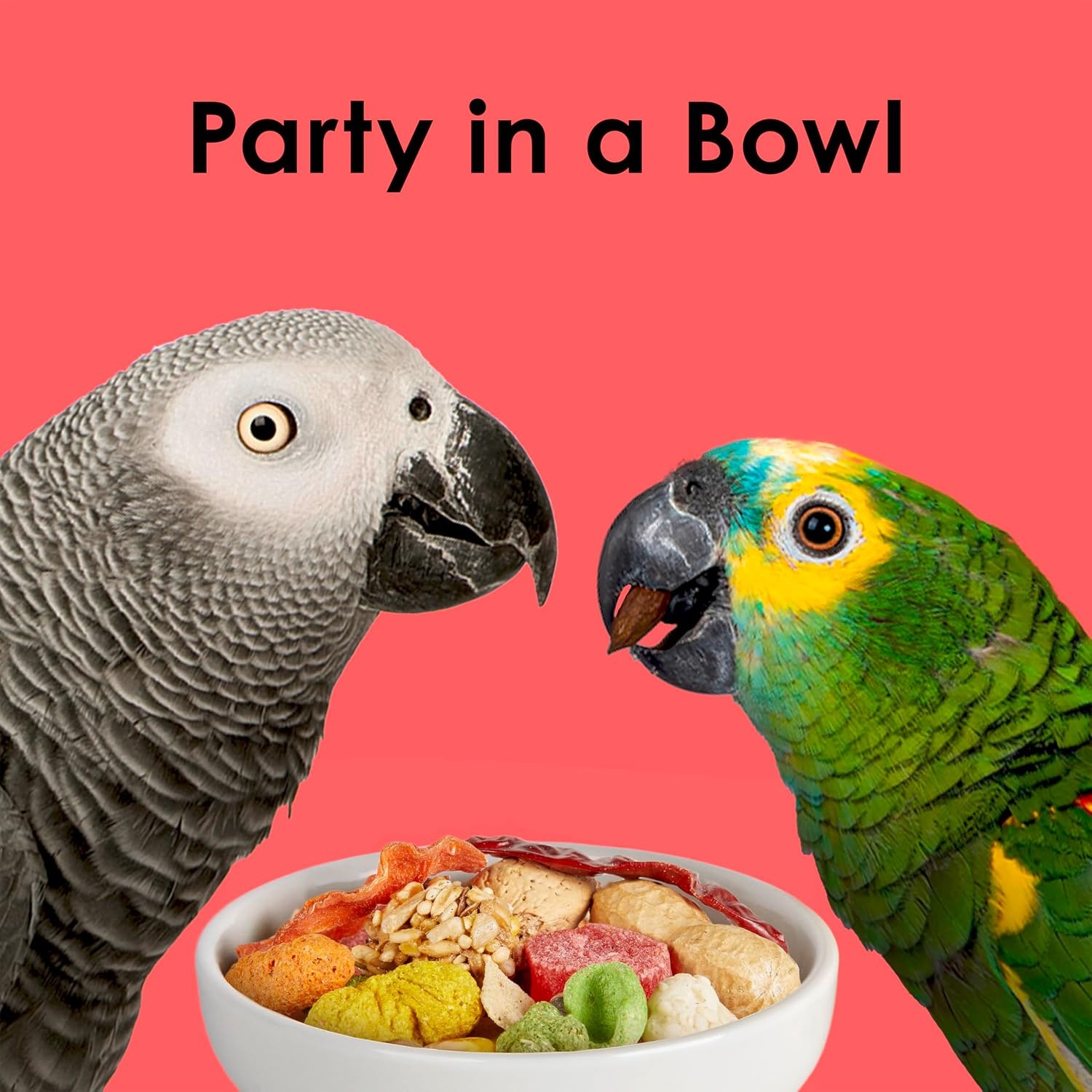 image:imageKaytee Fiesta Parrot Food for Large Birds 25 Pounds25 Pound Pack of 1