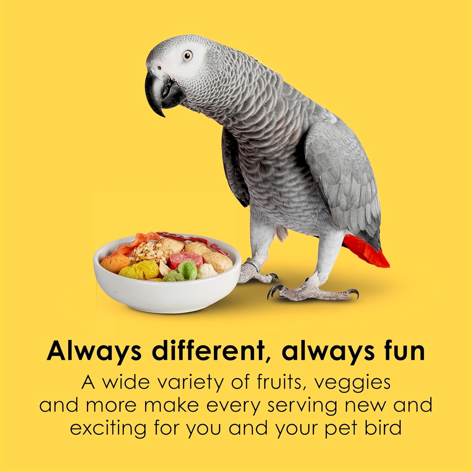 image:imageKaytee Fiesta Parrot Food for Large Birds 25 Pounds25 Pound Pack of 1