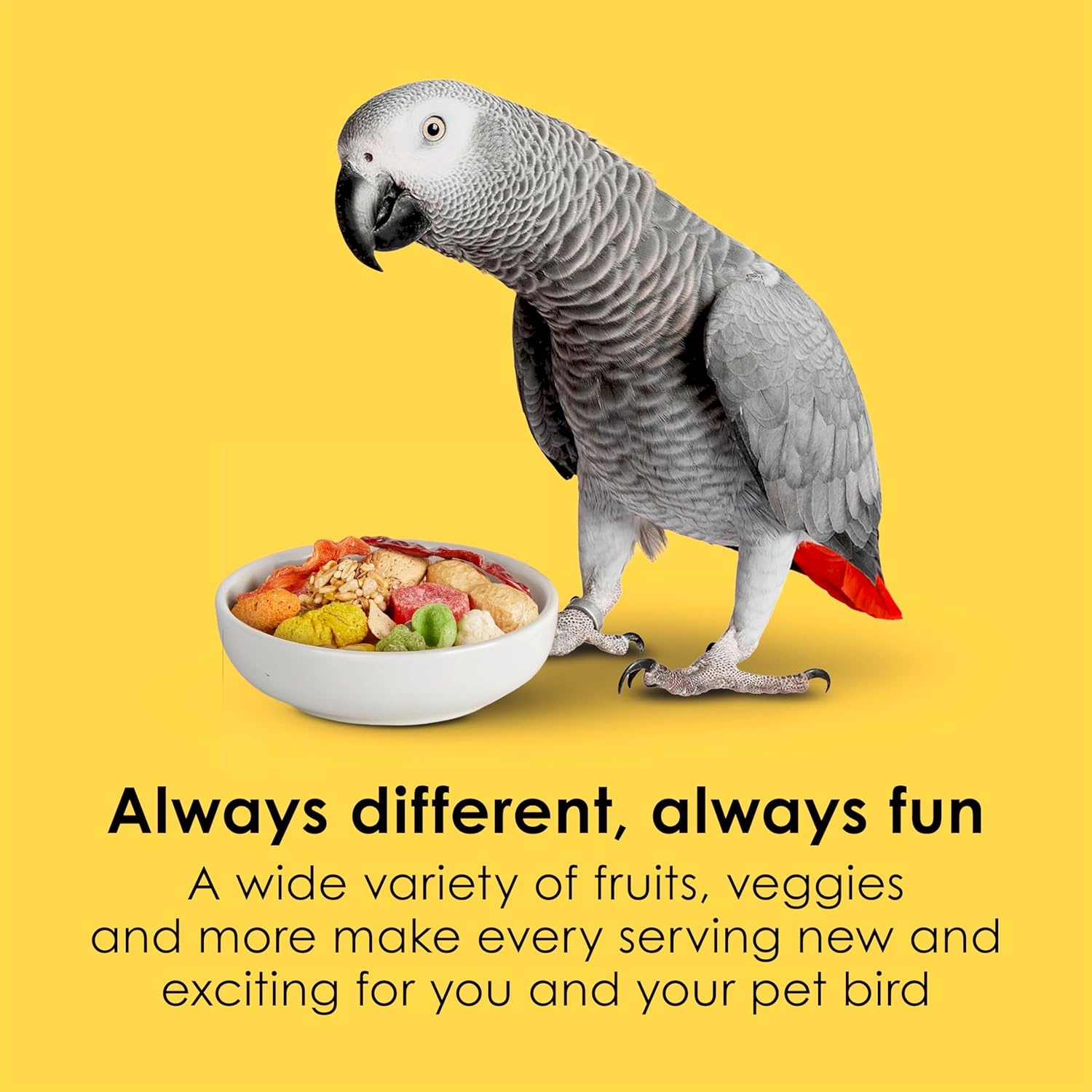 image:imageKaytee Fiesta Parrot Food for Large Birds 25 Pounds25 Pound Pack of 1