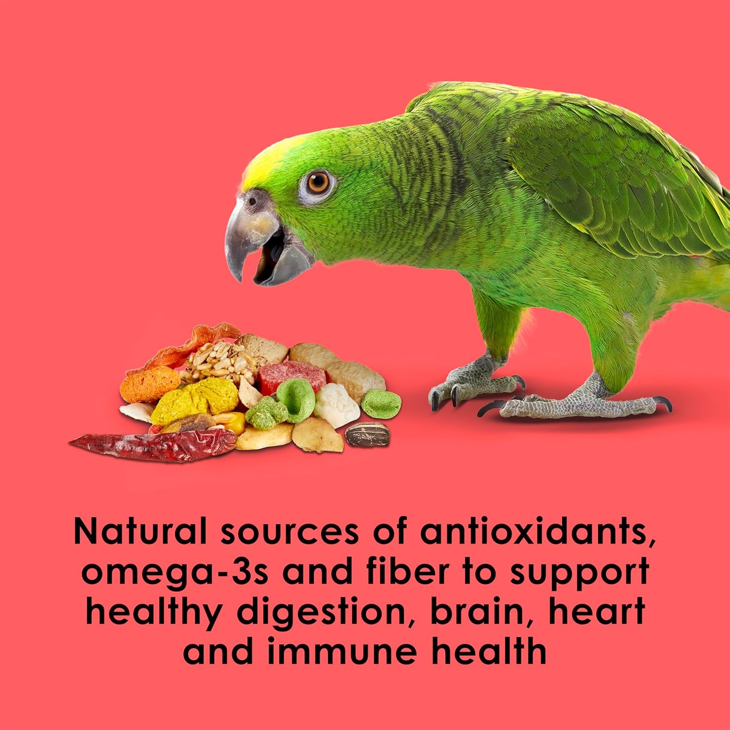 image:imageKaytee Fiesta Parrot Food for Large Birds 25 Pounds25 Pound Pack of 1