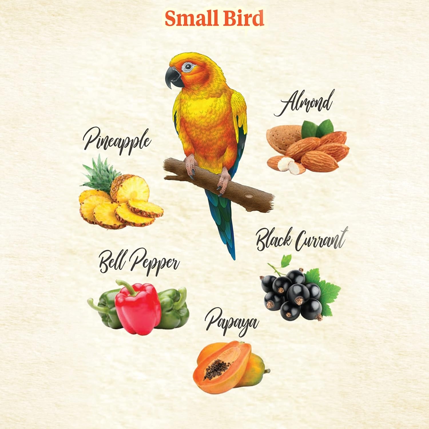 image:imageKaytee Food From The Wild Natural Snack Food Parakeet Treats 3 oz3 Ounce Pack of 2