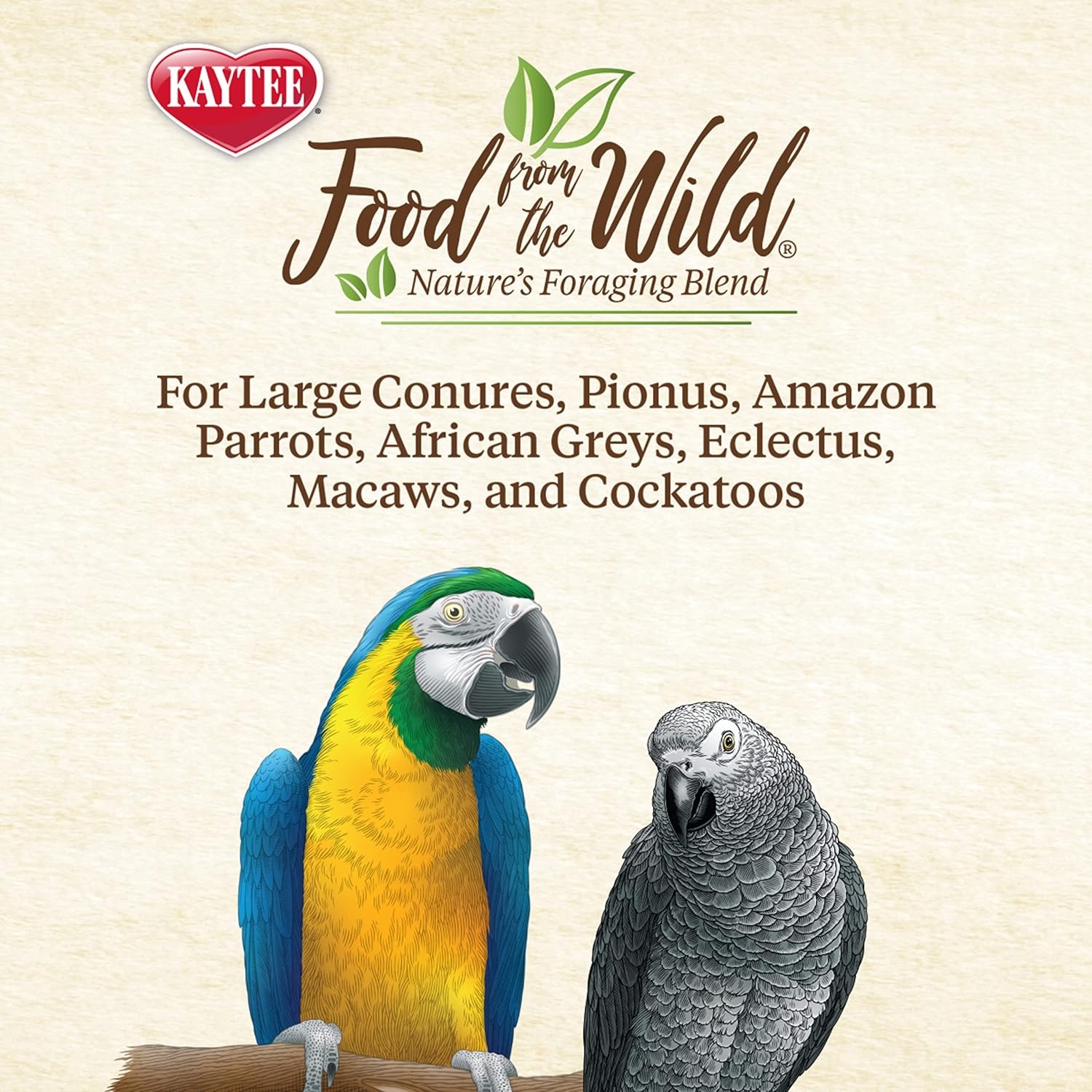 image:imageKaytee Food From The Wild Natural Snack Food Treats For Pet Birds 3 oz3 Ounce Pack of 1