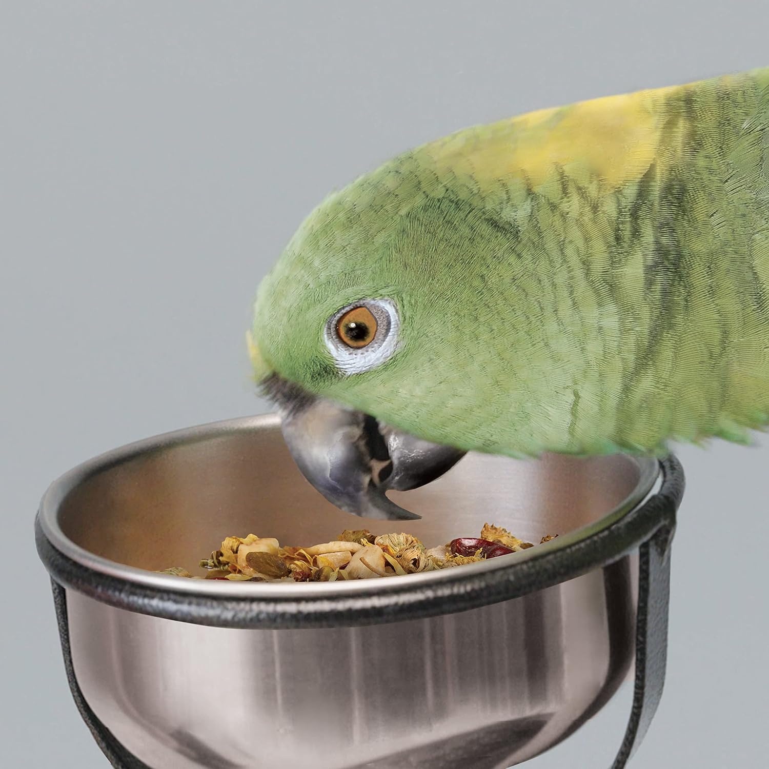 image:imageKaytee Food From The Wild Natural Snack Food Treats For Pet Birds 3 oz3 Ounce Pack of 1