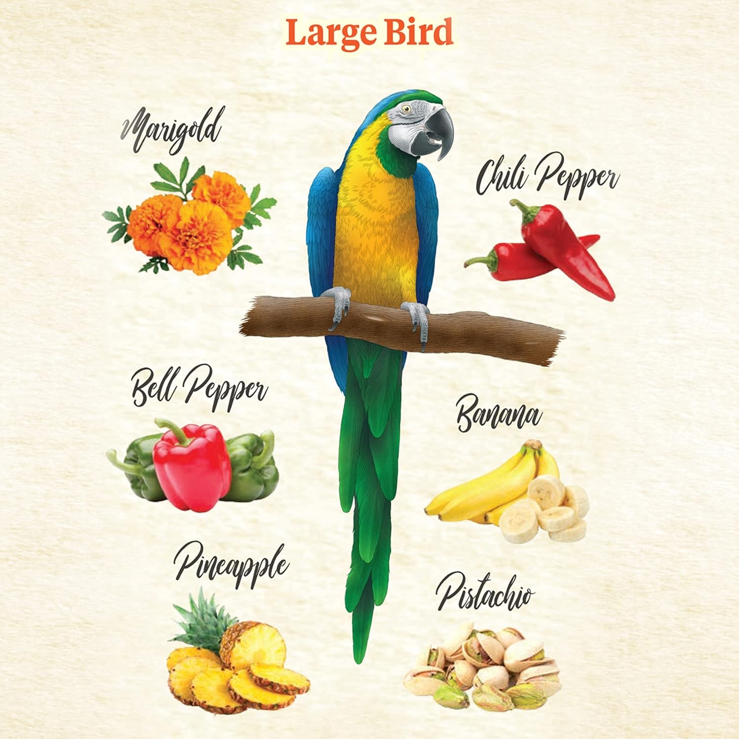 image:imageKaytee Food From The Wild Natural Snack Food Treats For Pet Birds 3 oz3 Ounce Pack of 1