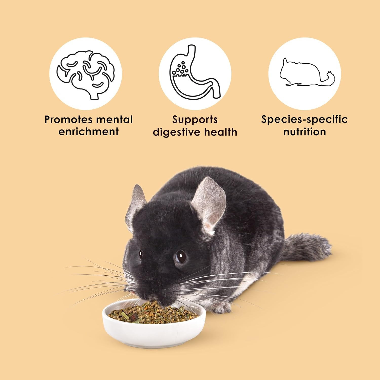 image:imageKaytee Food from the Wild Chinchilla Chinchilla Food 3 Pounds3 Pound Pack of 2