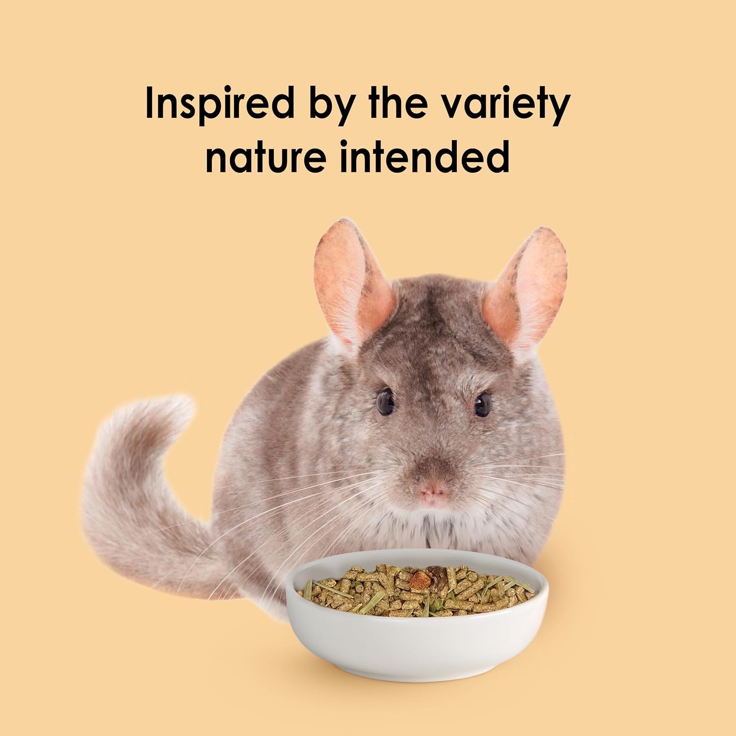 image:imageKaytee Food from the Wild Chinchilla Chinchilla Food 3 Pounds3 Pound Pack of 2
