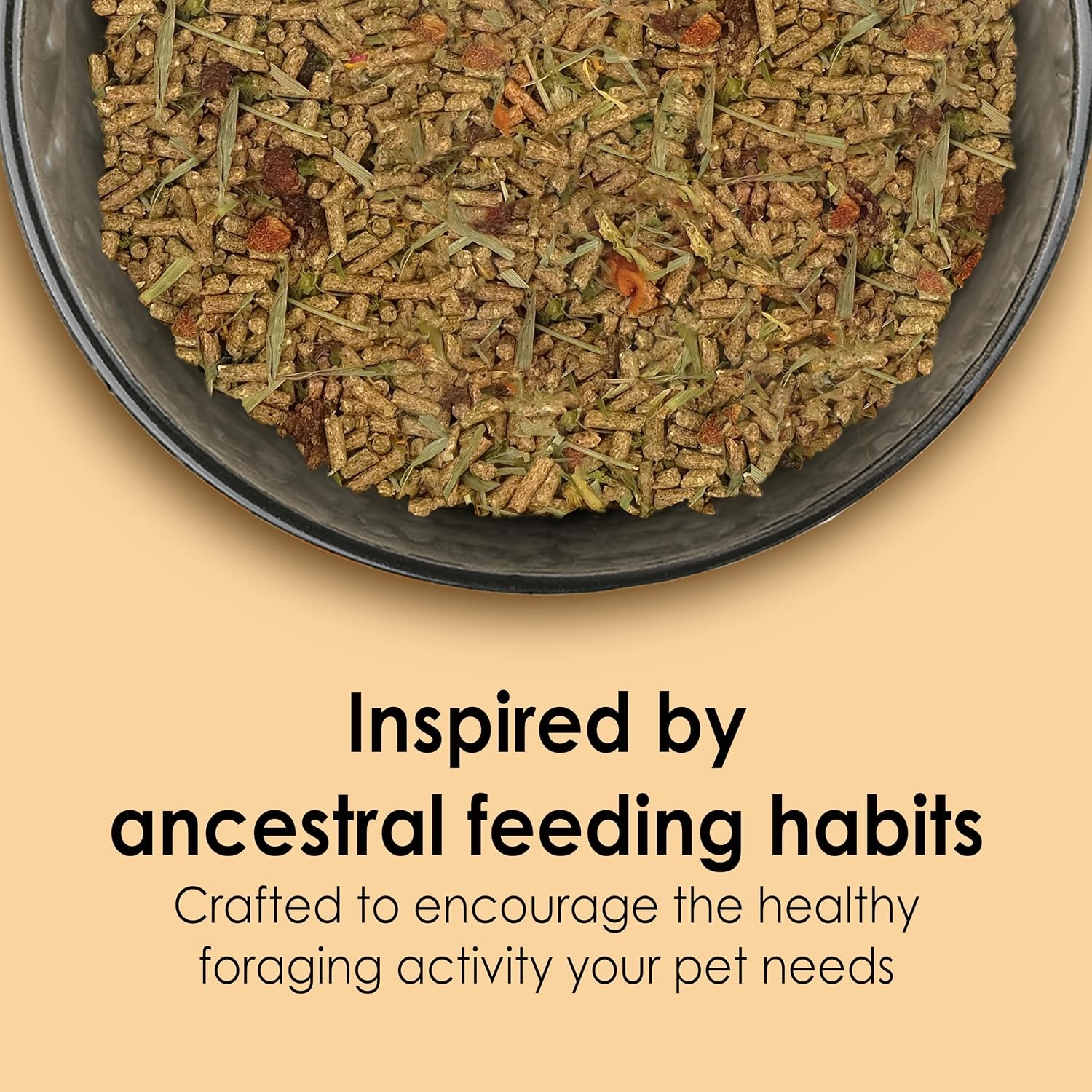 image:imageKaytee Food from the Wild Chinchilla Chinchilla Food 3 Pounds3 Pound Pack of 2