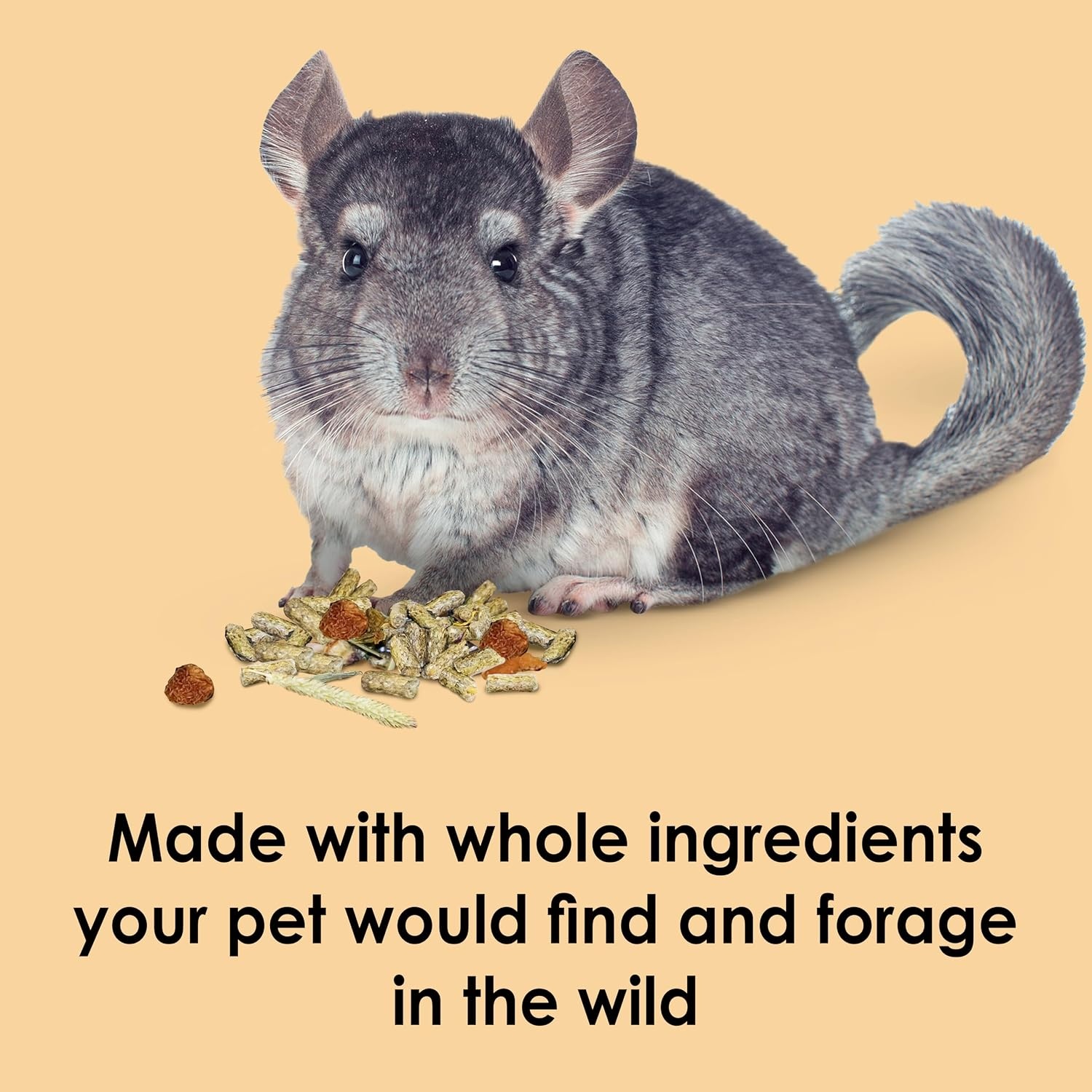 image:imageKaytee Food from the Wild Chinchilla Chinchilla Food 3 Pounds3 Pound Pack of 2