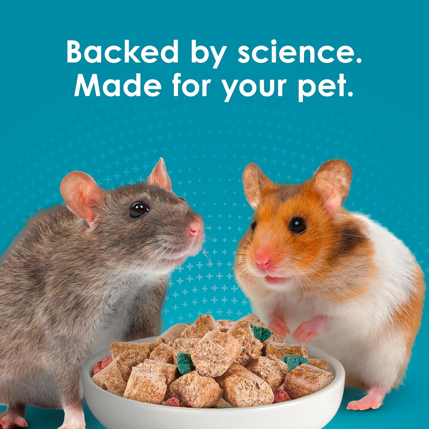 image:imageKaytee Forti Diet Pro Health Small Animal Food For Mouse And Pet Rats 3Pound3 Pound Pack of 1