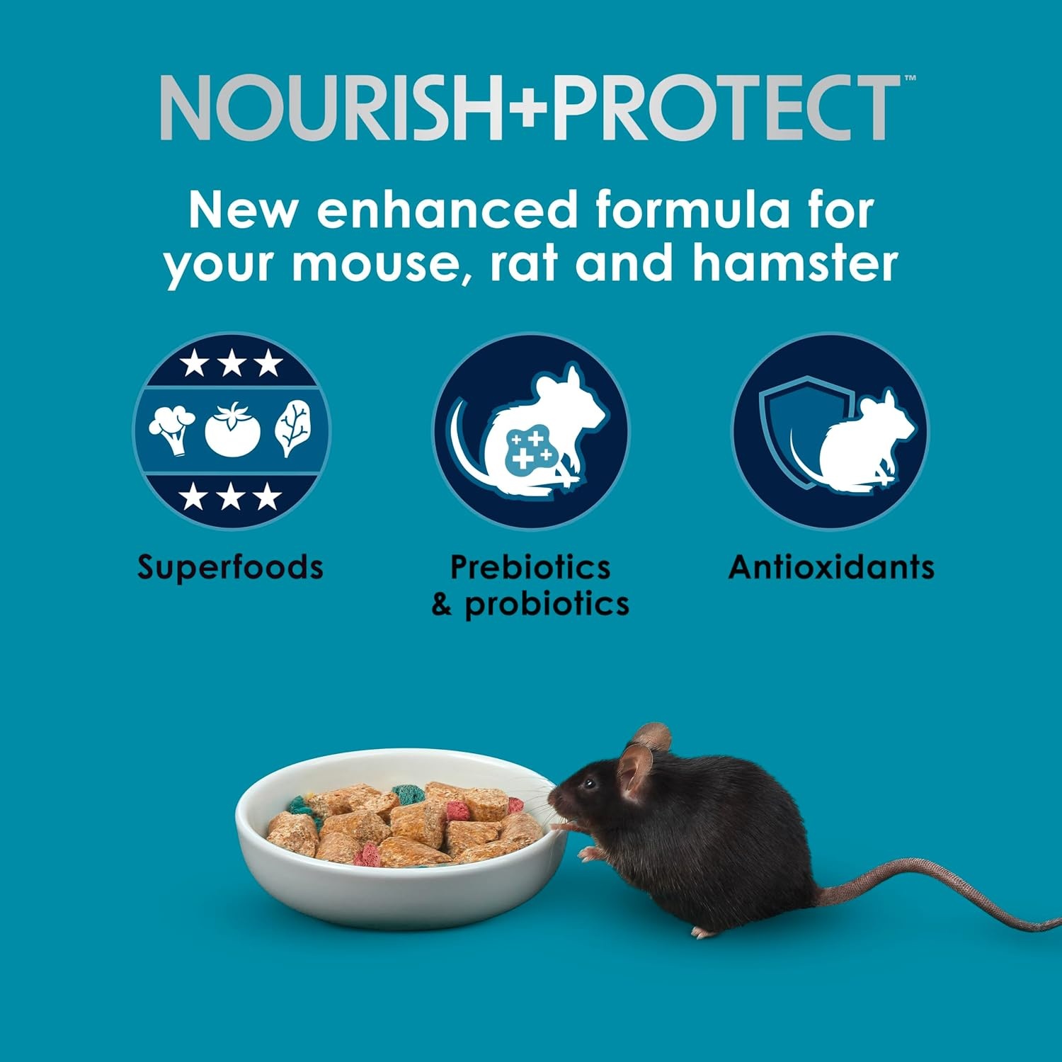 image:imageKaytee Forti Diet Pro Health Small Animal Food For Mouse And Pet Rats 3Pound3 Pound Pack of 1