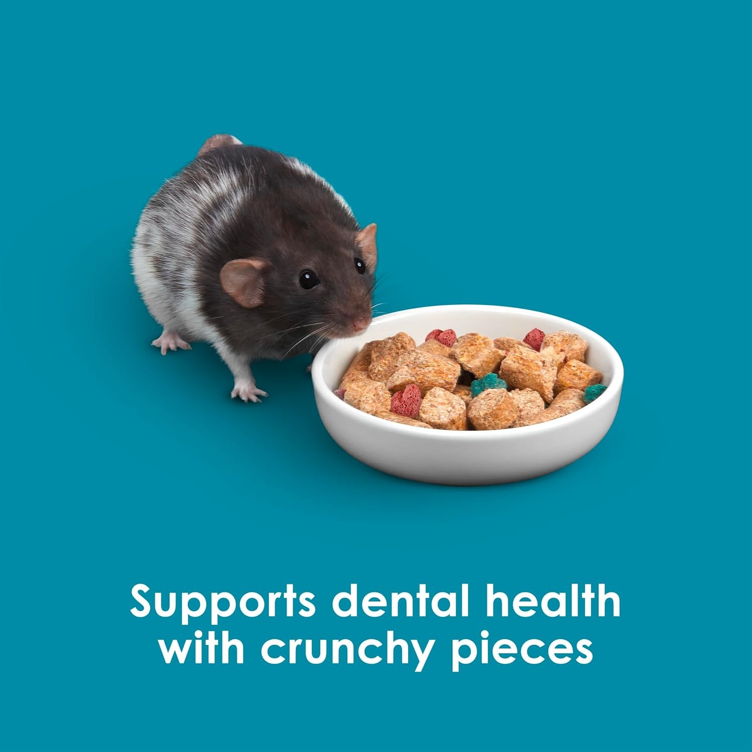 image:imageKaytee Forti Diet Pro Health Small Animal Food For Mouse And Pet Rats 3Pound3 Pound Pack of 1