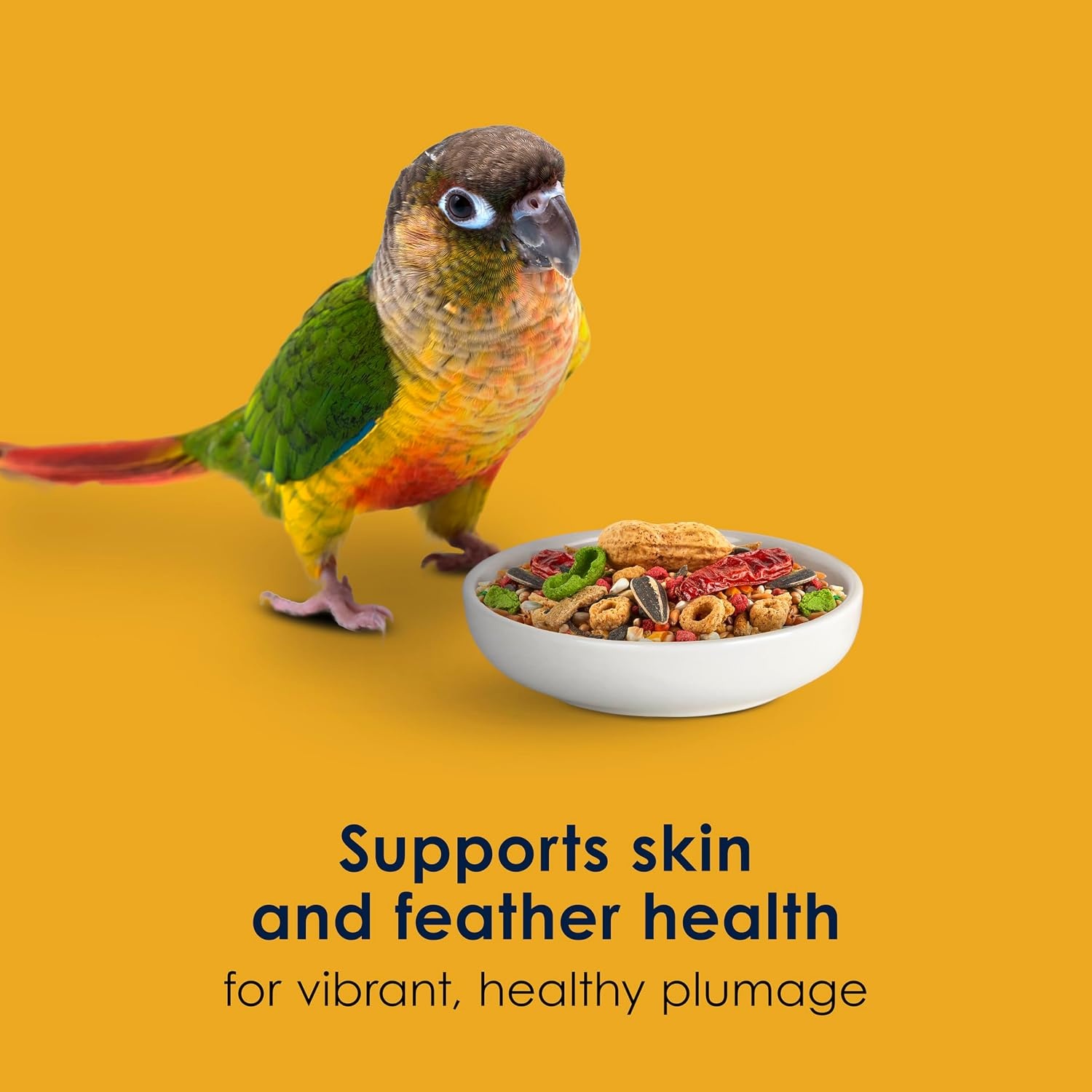 image:imageKaytee FortiDiet Pro Health EggCite Pet Conure amp Lovebird Food 3 PoundSeed