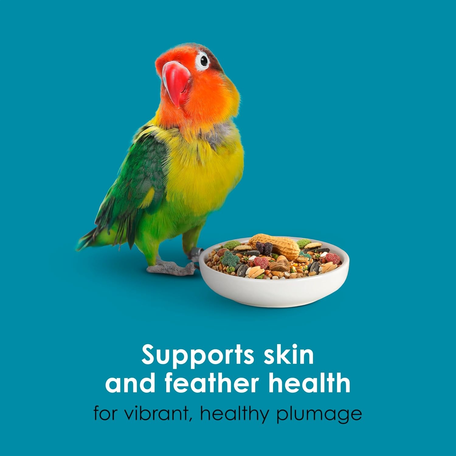 image:imageKaytee FortiDiet Pro Health EggCite Pet Conure amp Lovebird Food 3 PoundSeed