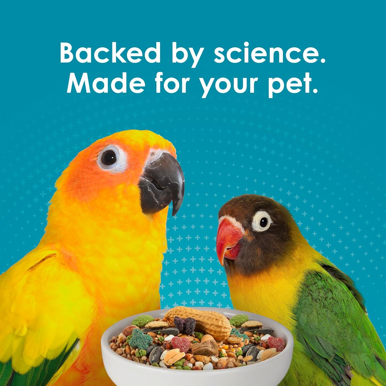 image:imageKaytee FortiDiet Pro Health EggCite Pet Conure amp Lovebird Food 3 PoundSeed