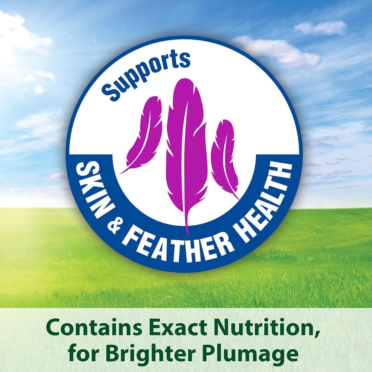 image:imageKaytee FortiDiet Pro Health EggCite Pet Conure amp Lovebird Food 3 PoundSeed