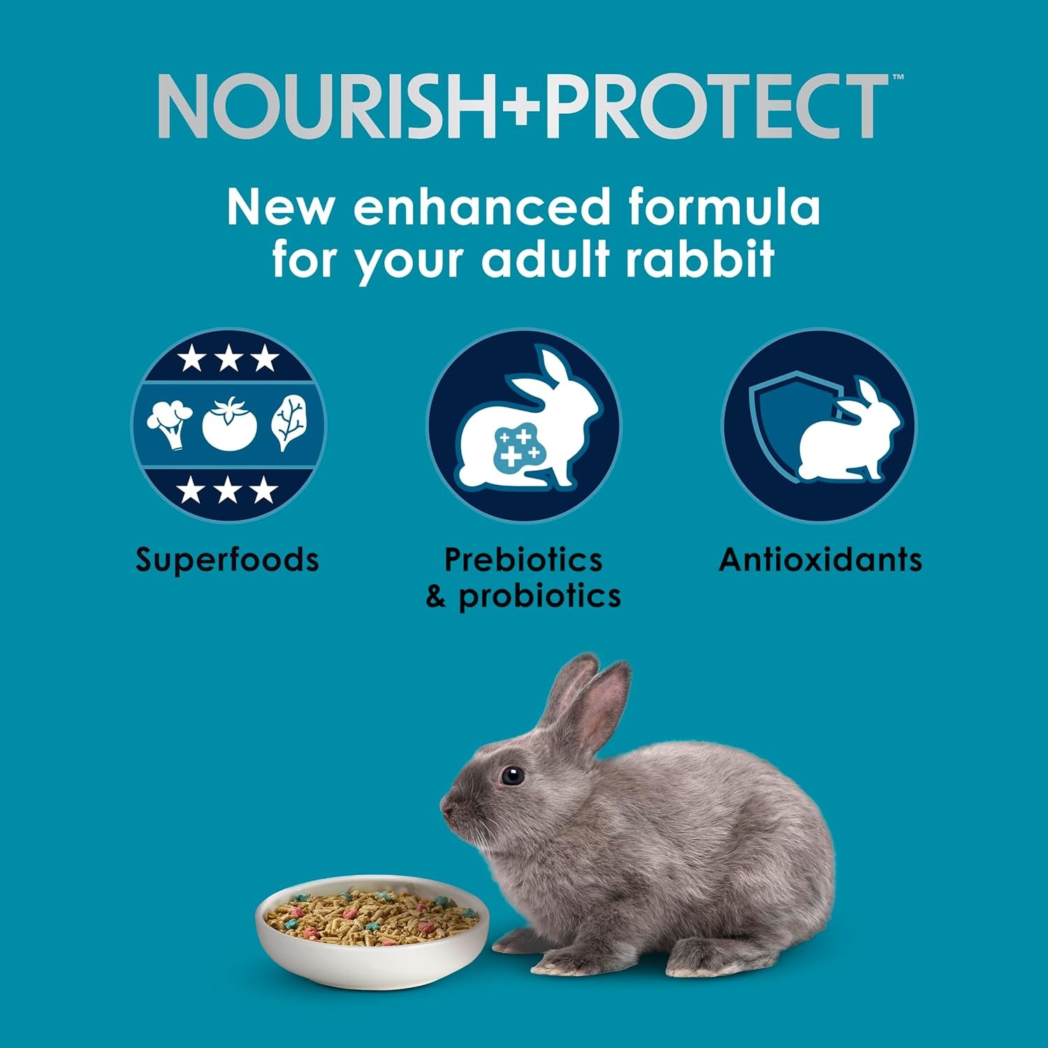 image:imageKaytee FortiDiet Pro Health NourishProtect Adult Rabbit Food 20 lb8 Pound Pack of 1