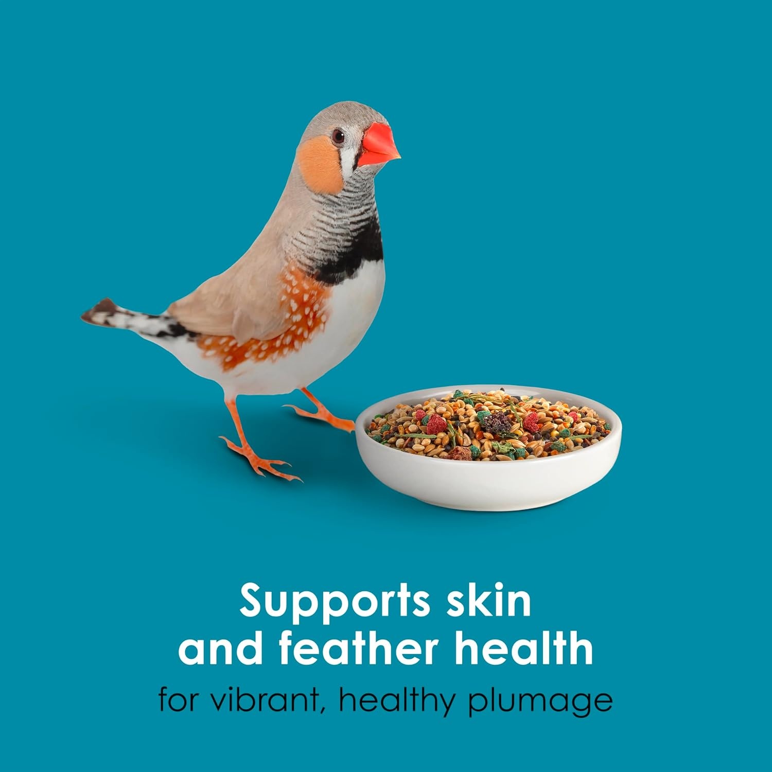 image:imageKaytee FortiDiet Pro Health NourishProtect Canary amp Finch Food 2 Lb2 Pound Pack of 1