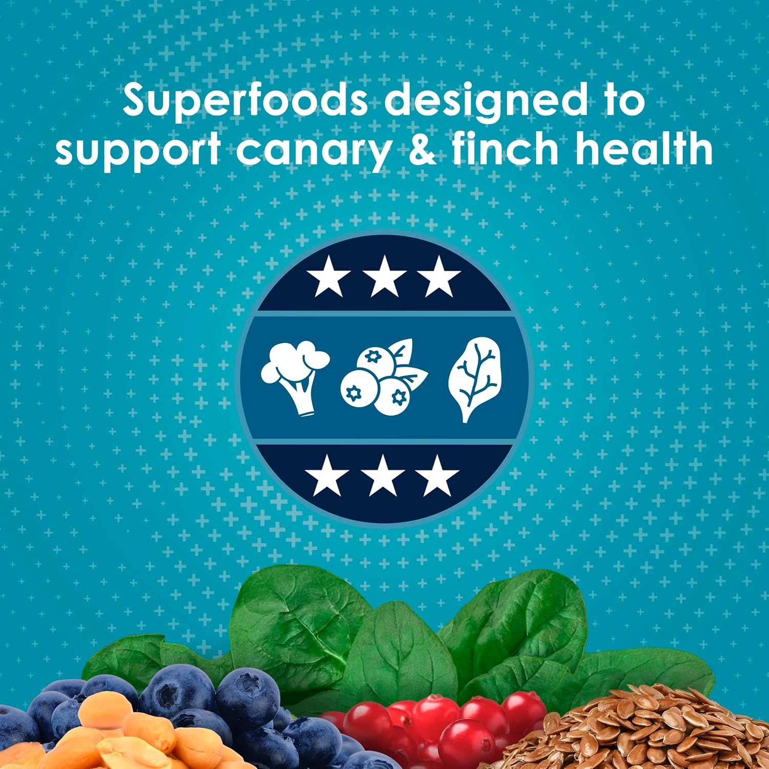 image:imageKaytee FortiDiet Pro Health NourishProtect Canary amp Finch Food 2 Lb2 Pound Pack of 1