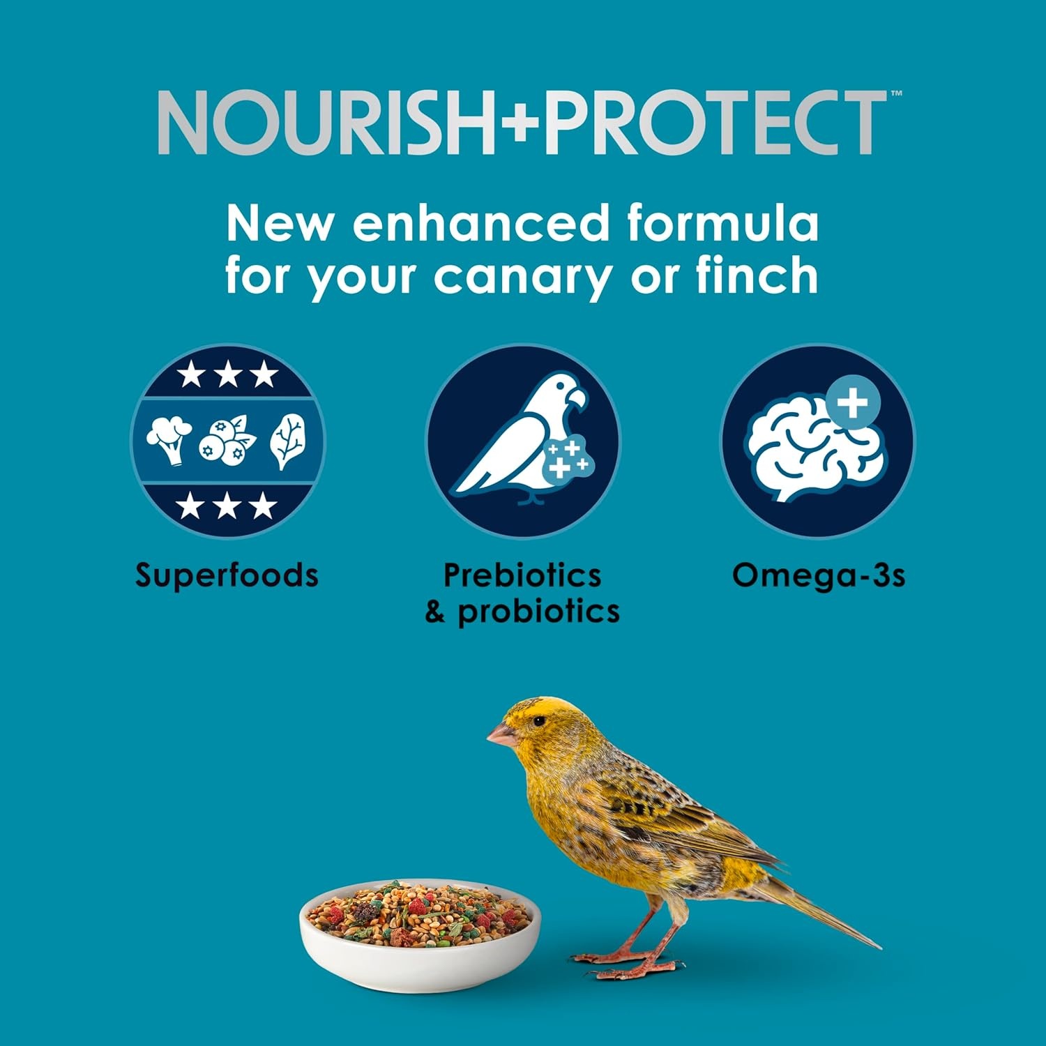 image:imageKaytee FortiDiet Pro Health NourishProtect Canary amp Finch Food 2 Lb2 Pound Pack of 6