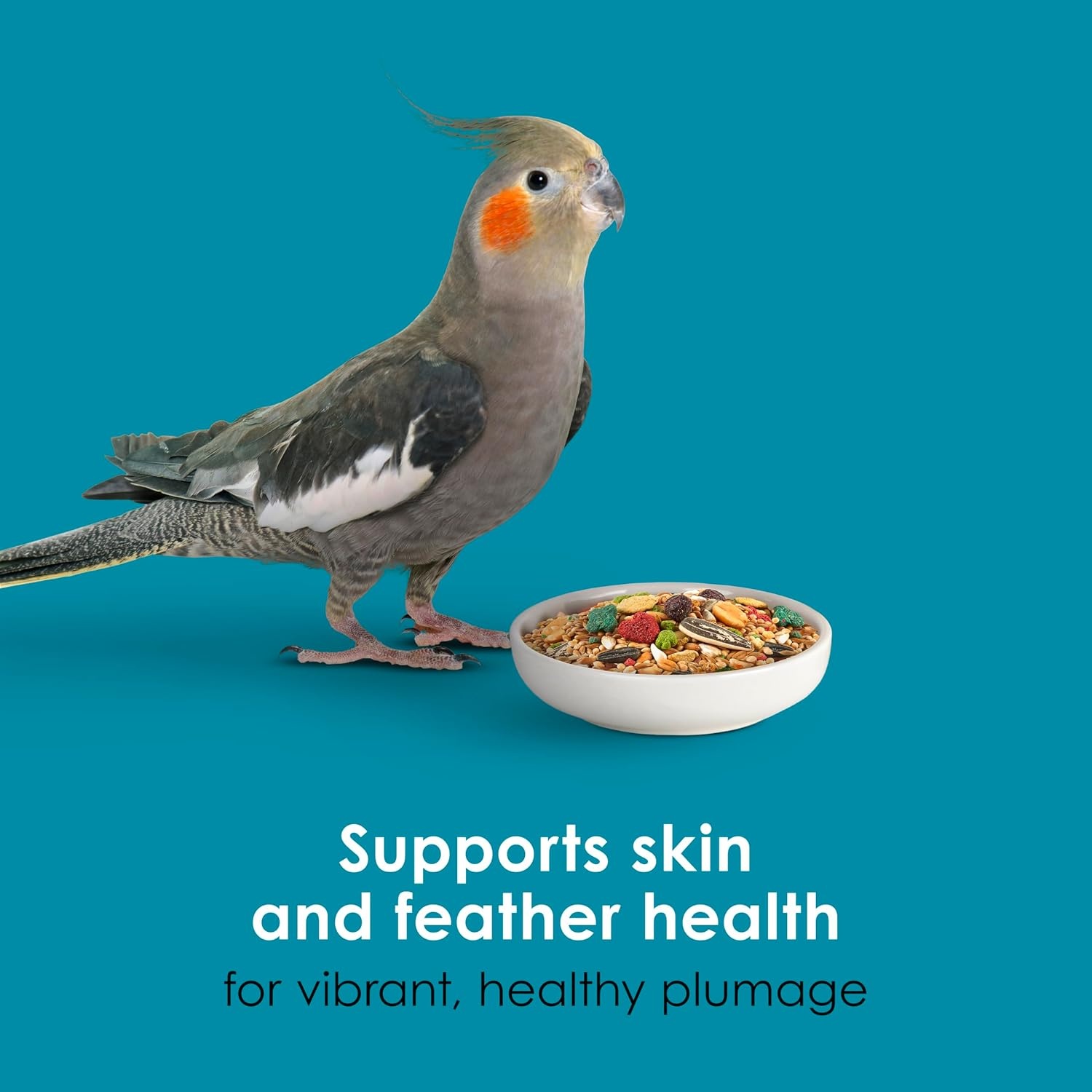 image:imageKaytee FortiDiet Pro Health NourishProtect Cockatiel Food 25 lb5 Pound Pack of 1