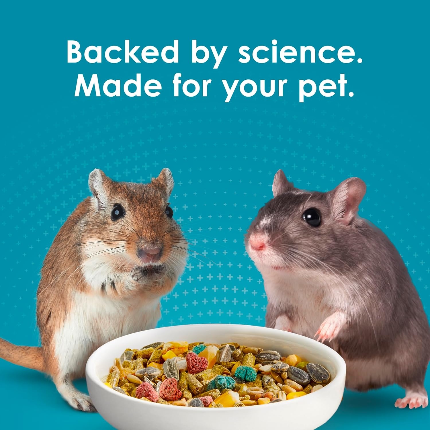 image:imageKaytee FortiDiet Pro Health NourishProtect Hamster Food amp Gerbil Food8 Pound Pack of 1