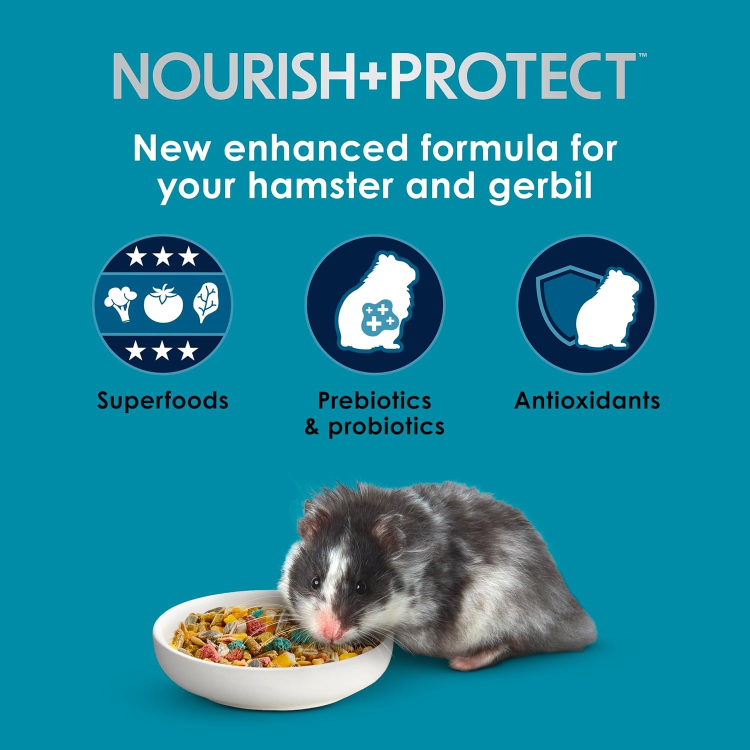 image:imageKaytee FortiDiet Pro Health NourishProtect Hamster Food amp Gerbil Food8 Pound Pack of 1