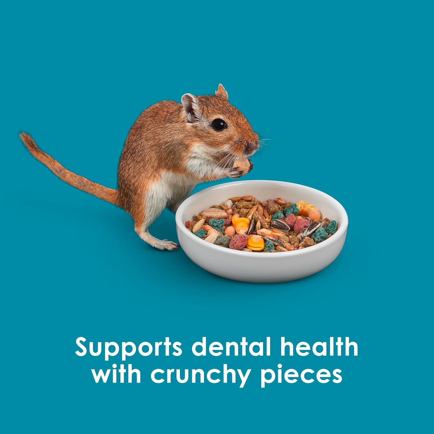 image:imageKaytee FortiDiet Pro Health NourishProtect Hamster Food amp Gerbil Food8 Pound Pack of 1