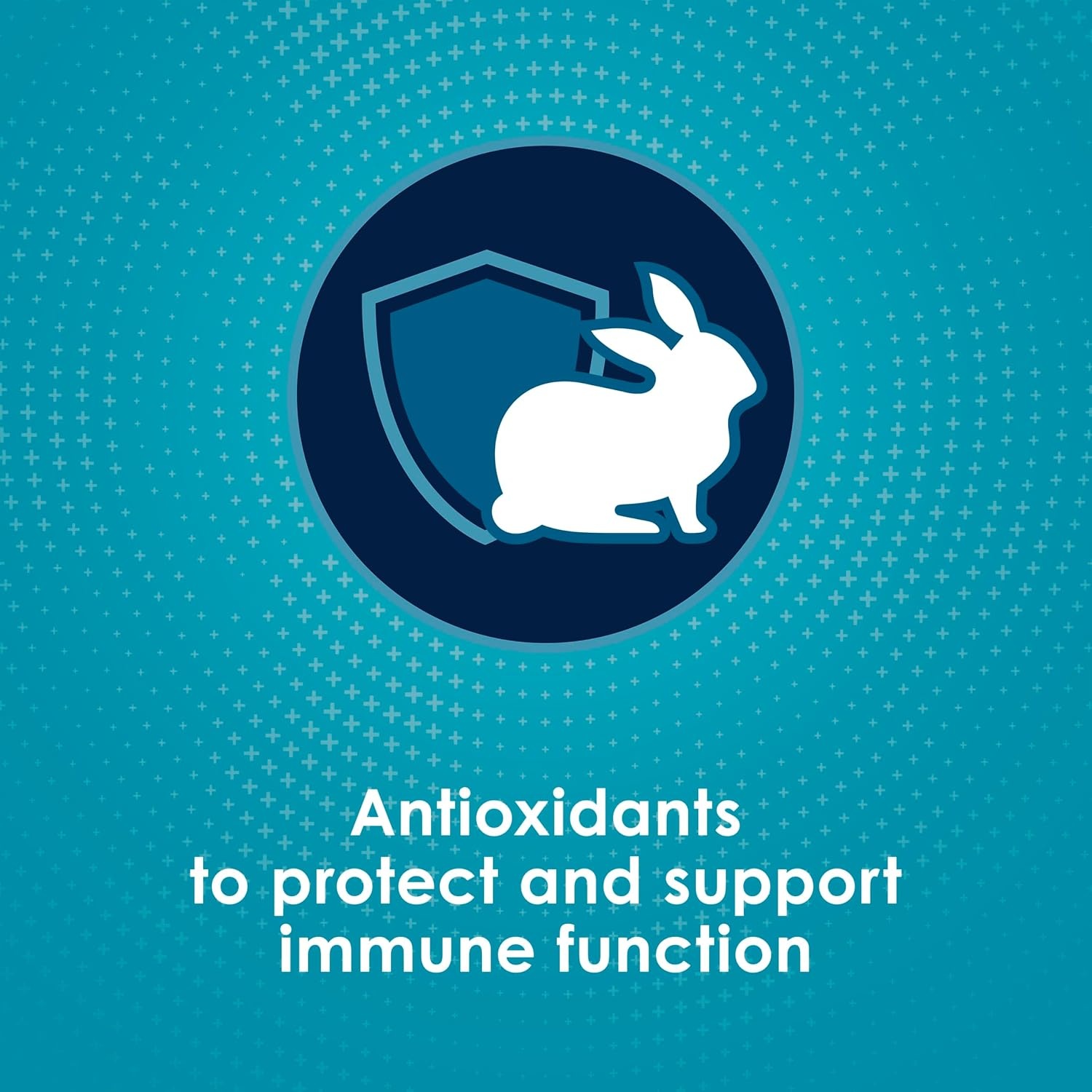 image:imageKaytee FortiDiet Pro Health NourishProtect Juvenile Rabbit Food Comprehensive Nutrition Backed by Science Digestive Health Immune Support 3 Pounds3 Pound Pack of 1