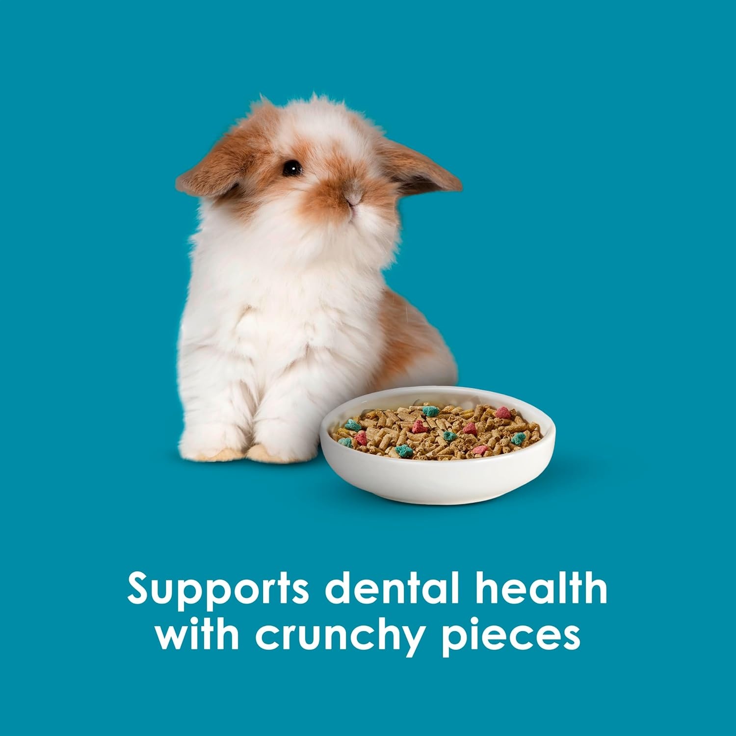 image:imageKaytee FortiDiet Pro Health NourishProtect Juvenile Rabbit Food Comprehensive Nutrition Backed by Science Digestive Health Immune Support 3 Pounds3 Pound Pack of 1