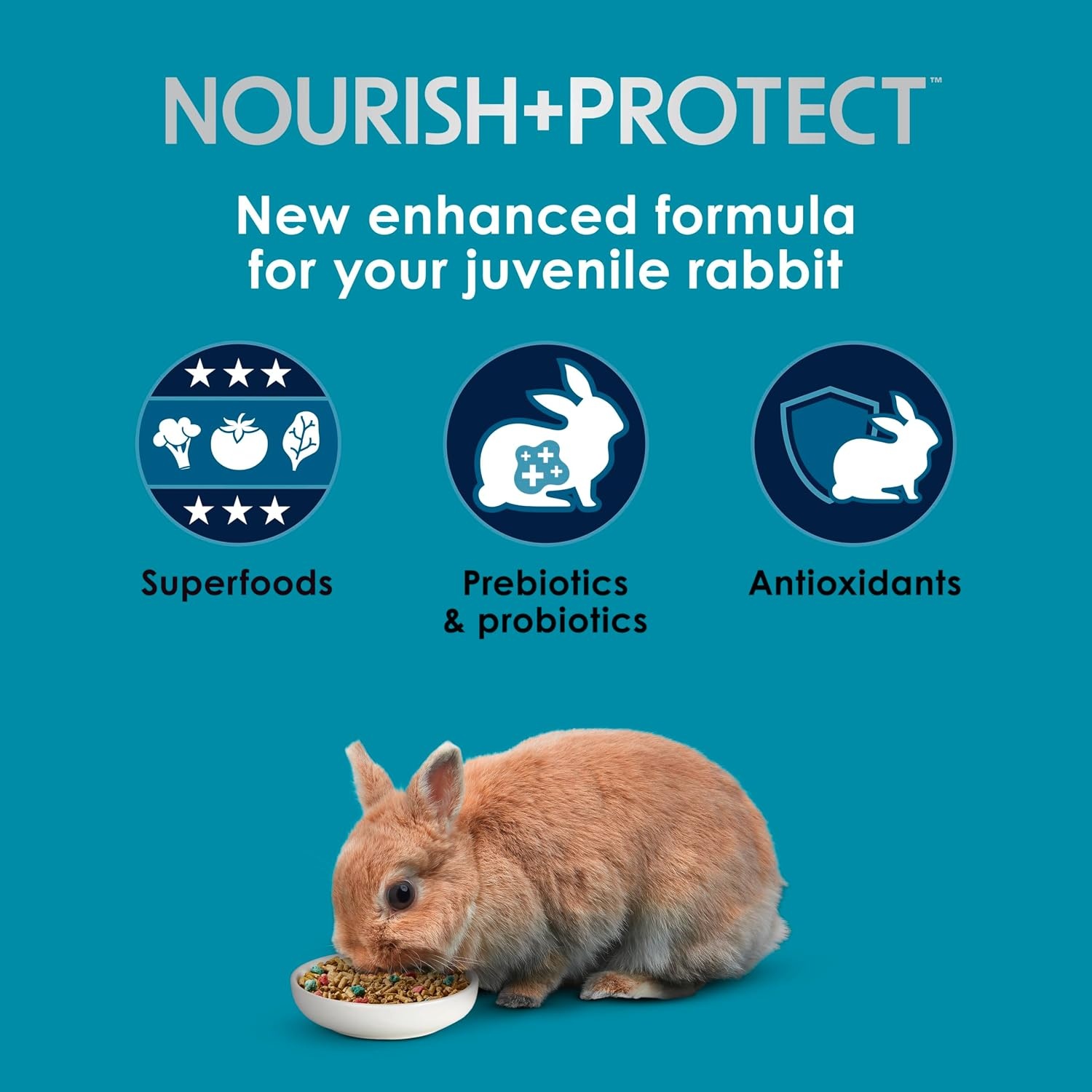 image:imageKaytee FortiDiet Pro Health NourishProtect Juvenile Rabbit Food Comprehensive Nutrition Backed by Science Digestive Health Immune Support 3 Pounds3 Pound Pack of 1