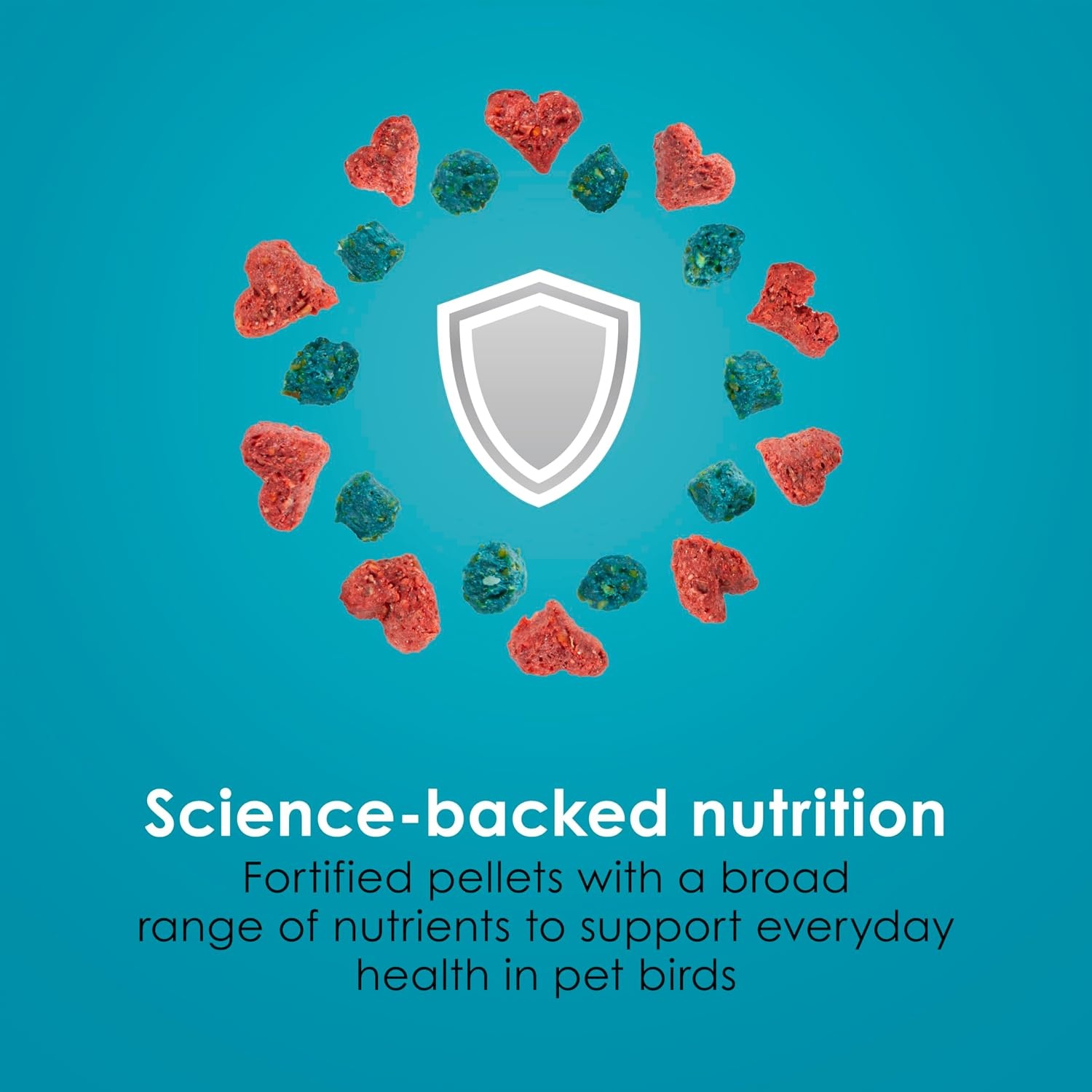 image:imageKaytee FortiDiet Pro Health NourishProtect Parakeet Food 4 Pounds32 Ounce Pack of 6
