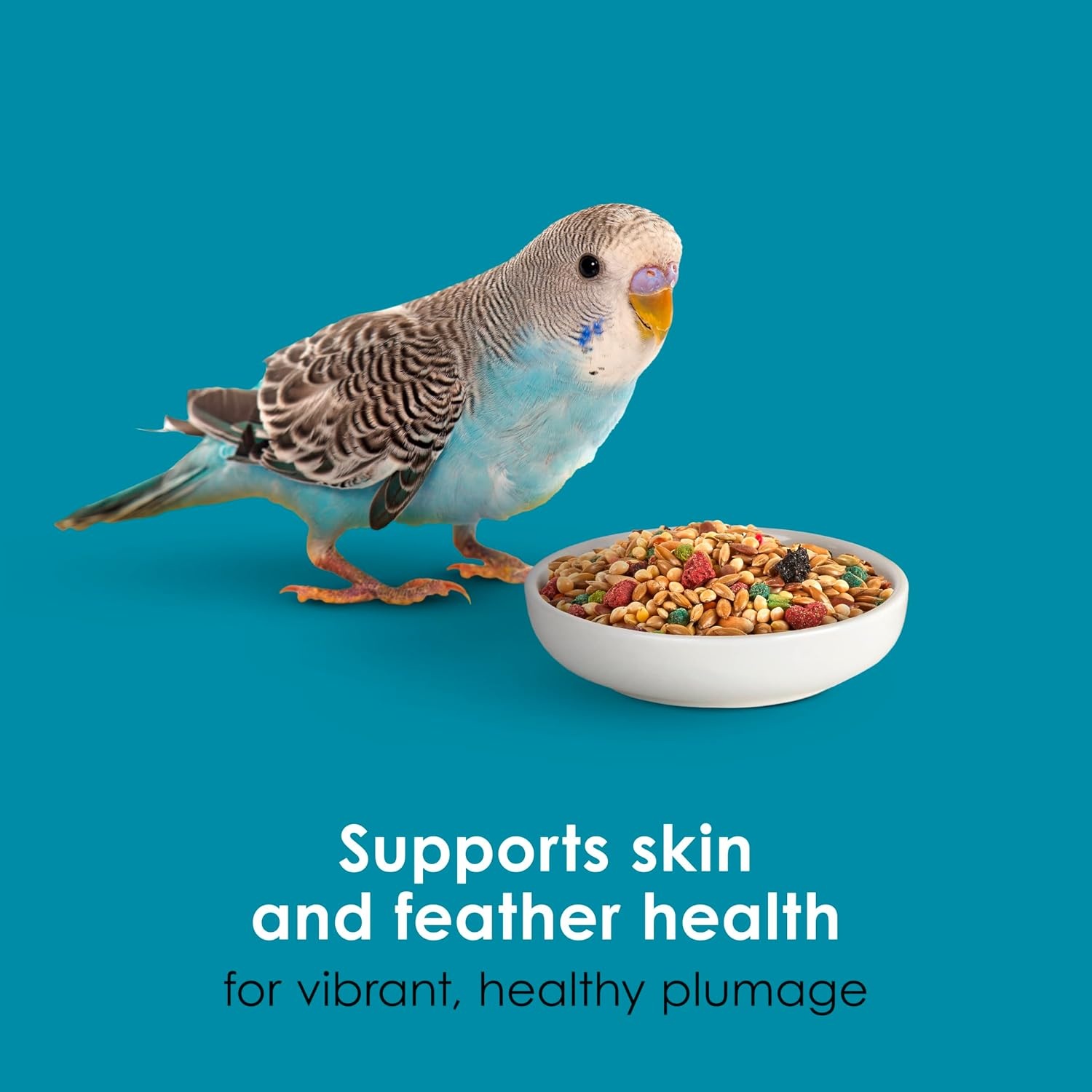 image:imageKaytee FortiDiet Pro Health NourishProtect Parakeet Food 4 Pounds64 Ounce Pack of 2