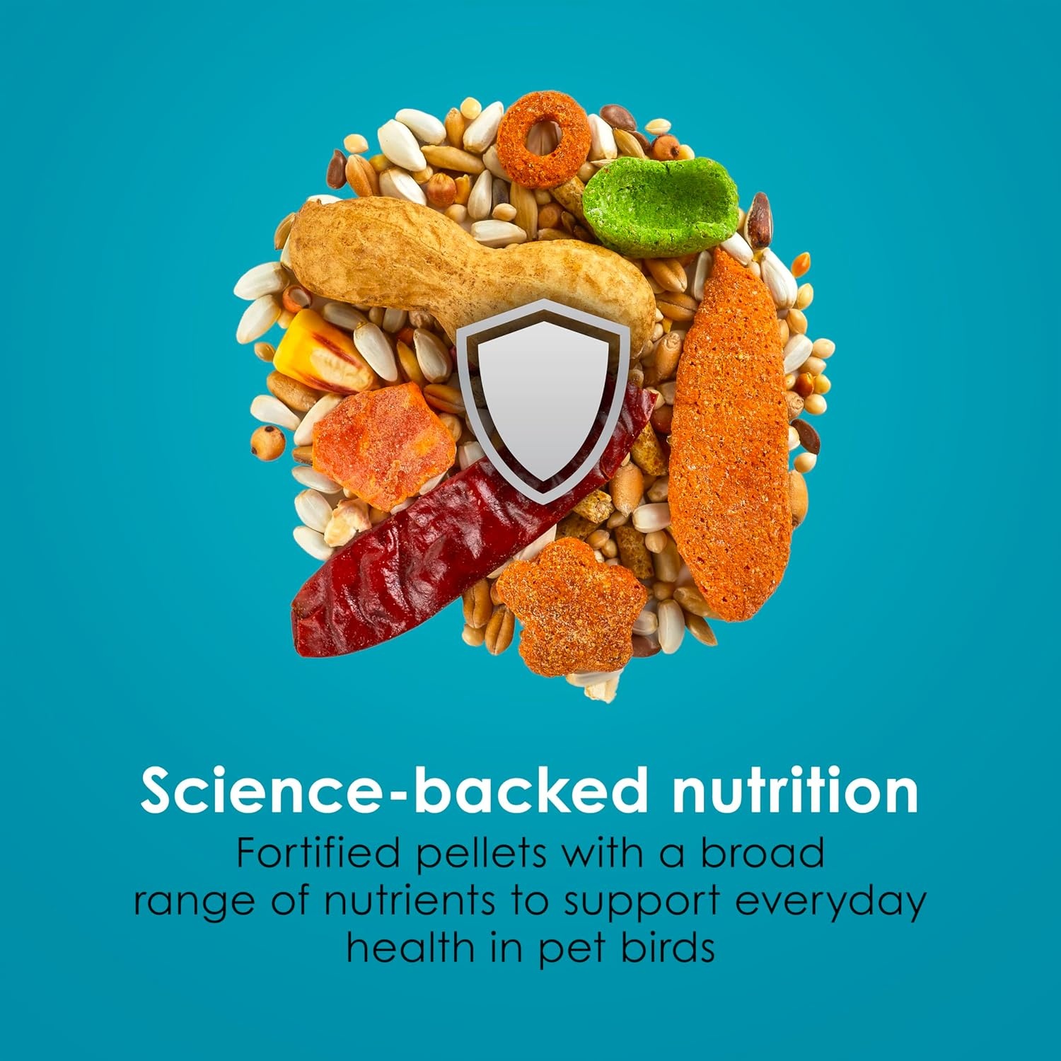 image:imageKaytee FortiDiet Pro HealthSafflower Parrot Food 4 Pounds4 Pound Pack of 1