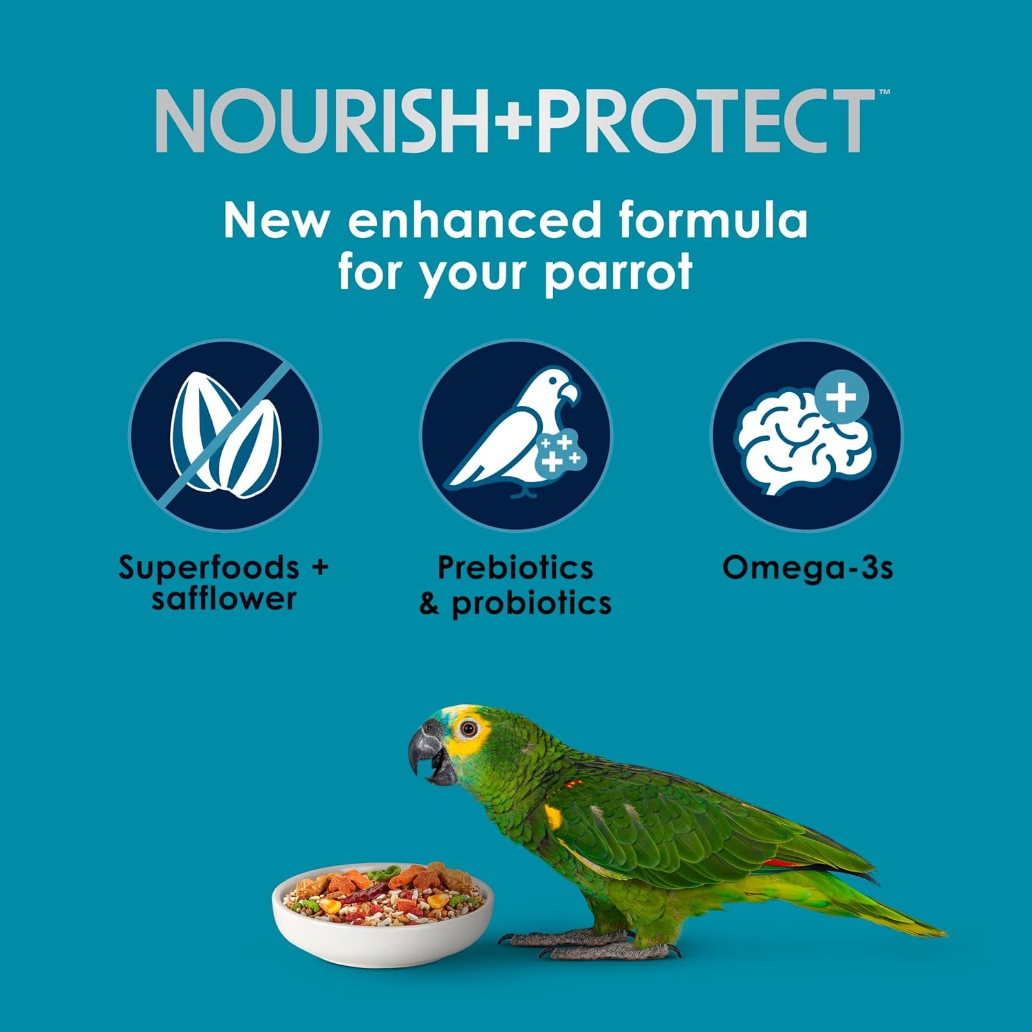 image:imageKaytee FortiDiet Pro HealthSafflower Parrot Food 4 Pounds4 Pound Pack of 1