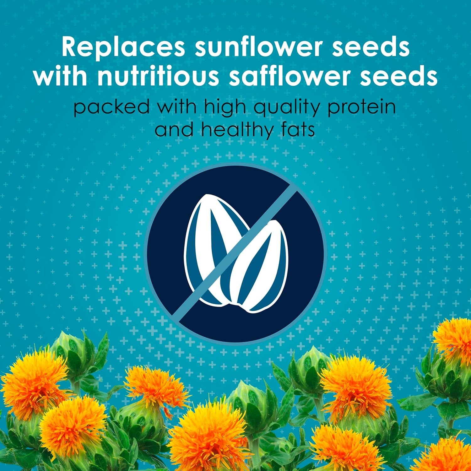 image:imageKaytee FortiDiet Pro HealthSafflower Parrot Food 4 Pounds4 Pound Pack of 1