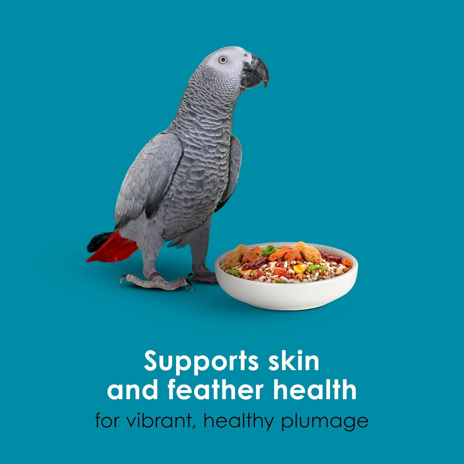 image:imageKaytee FortiDiet Pro HealthSafflower Parrot Food 4 Pounds4 Pound Pack of 1
