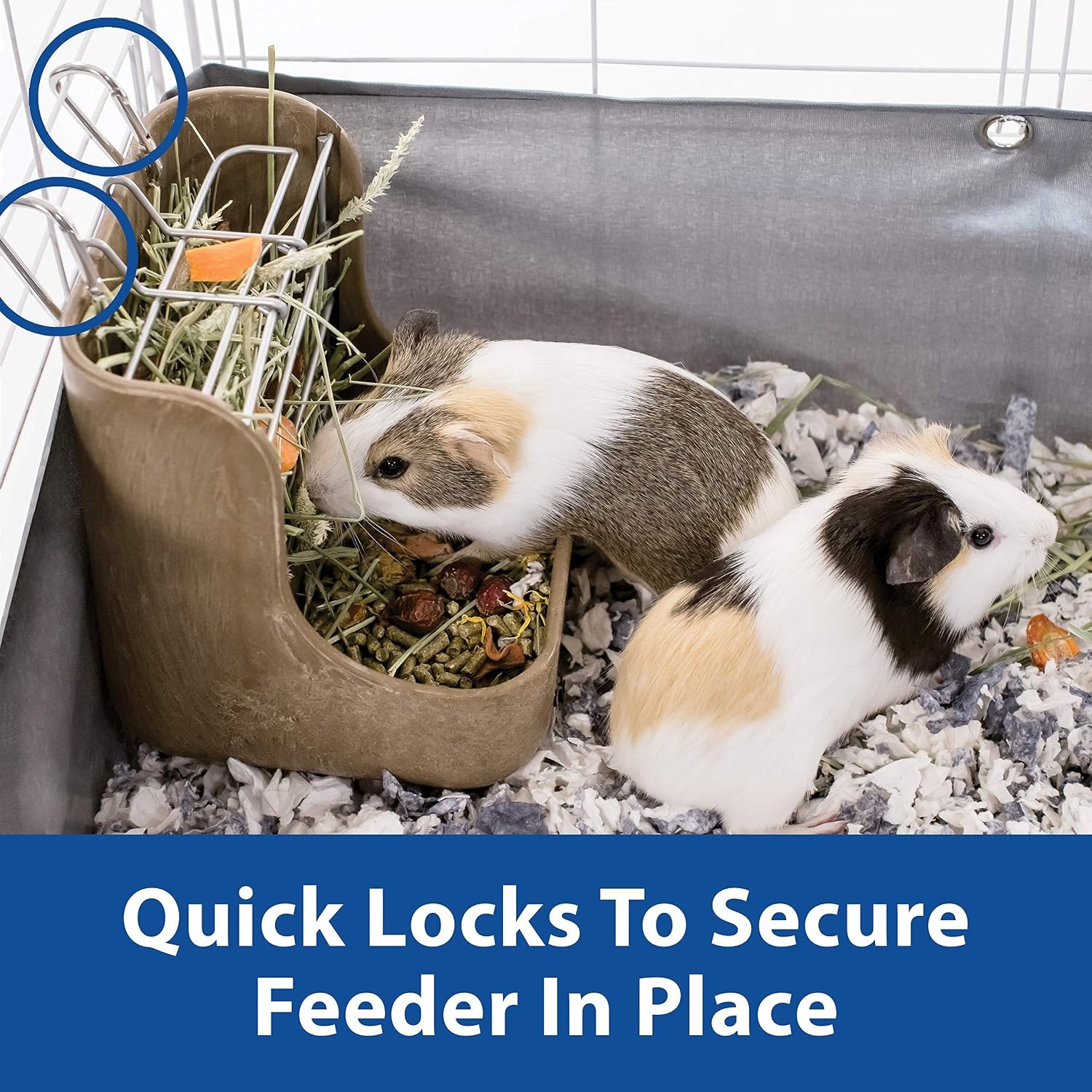 image:imageKaytee Hay amp Food Bin Feeder With Quick Locks For Pet Rabbits Chinchillas Guinea Pigs and Other Small Animals575 inches x 6 inches x 7 inches Pack of 2