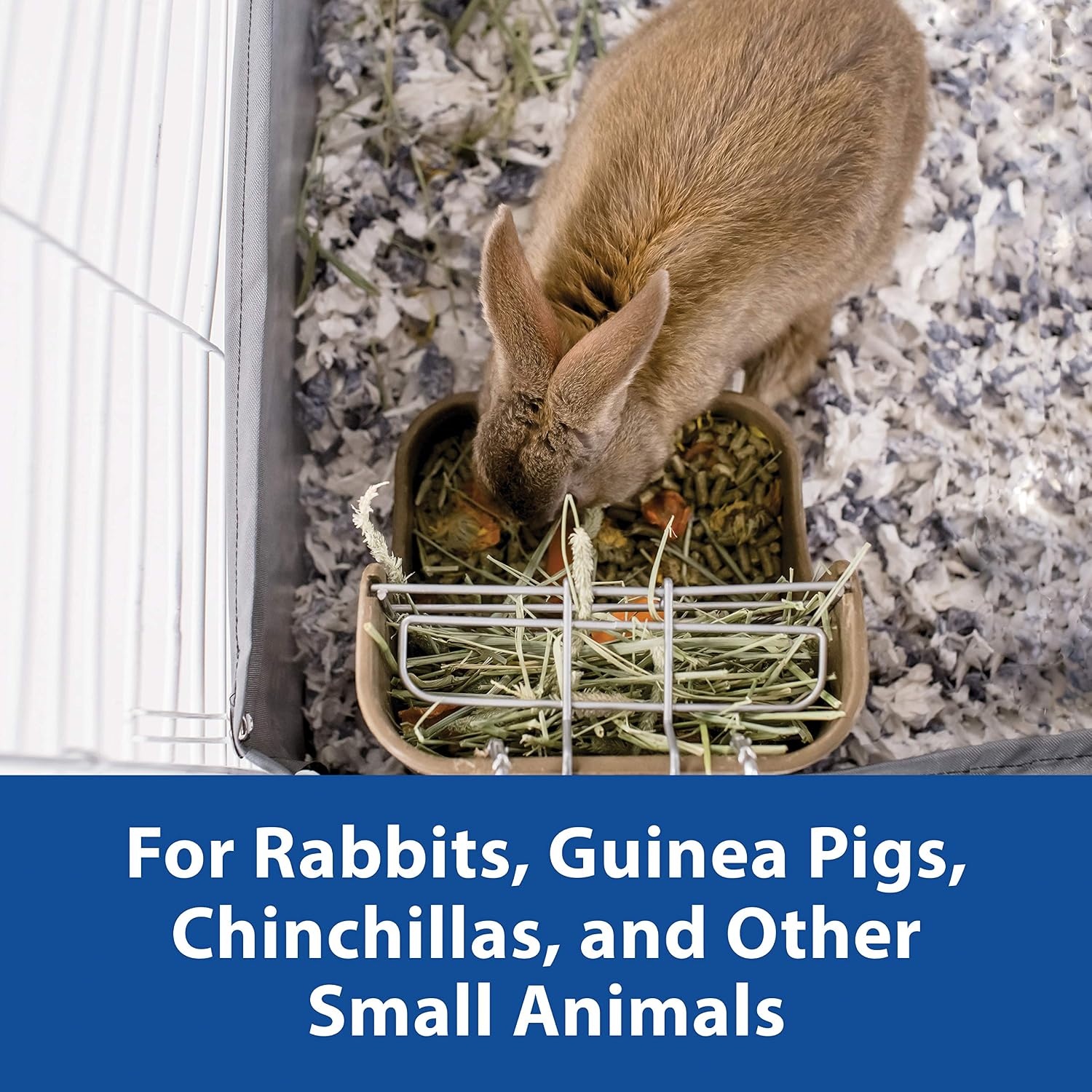 image:imageKaytee Hay amp Food Bin Feeder With Quick Locks For Pet Rabbits Chinchillas Guinea Pigs and Other Small Animals575 inches x 6 inches x 7 inches Pack of 2