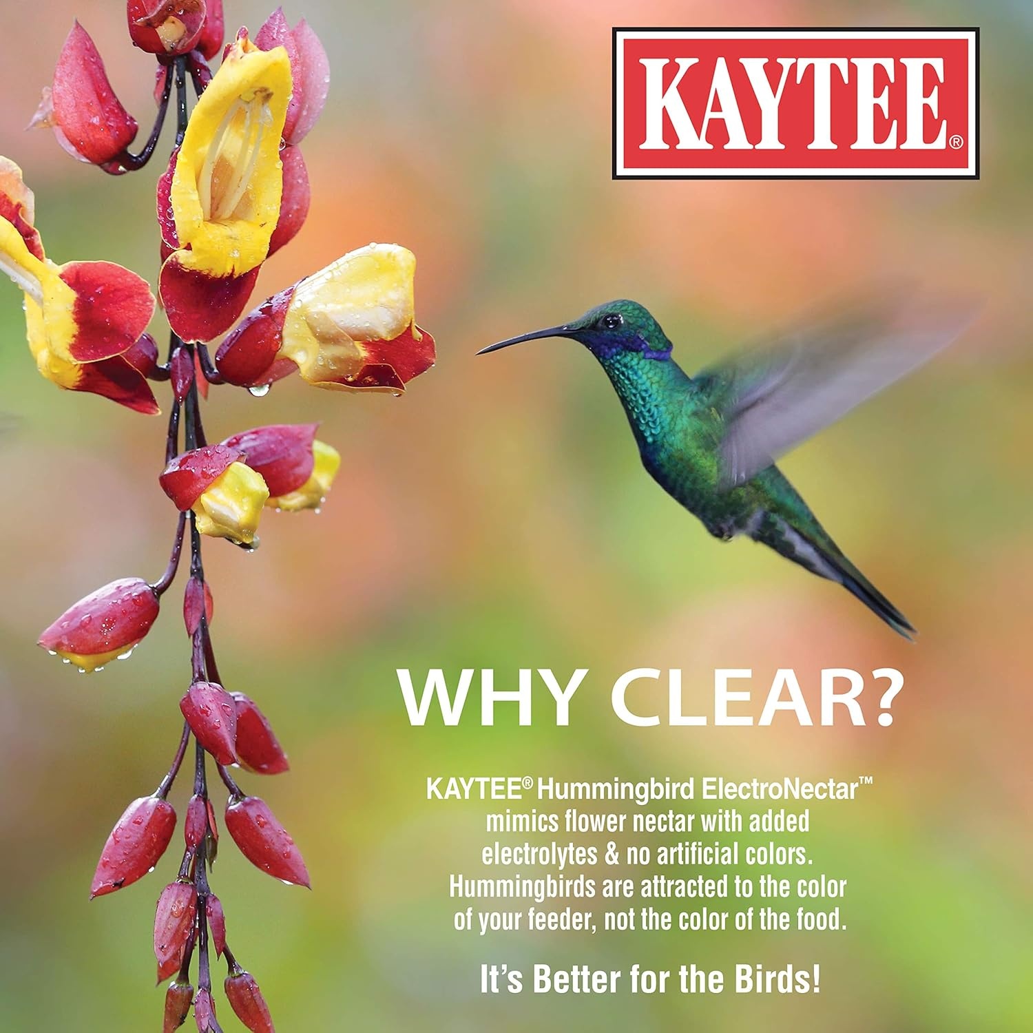 image:imageKaytee Hummingbird ElectroNectar Wild Bird Food Ready to Use 64 Ounces16 Fl Oz Pack of 1