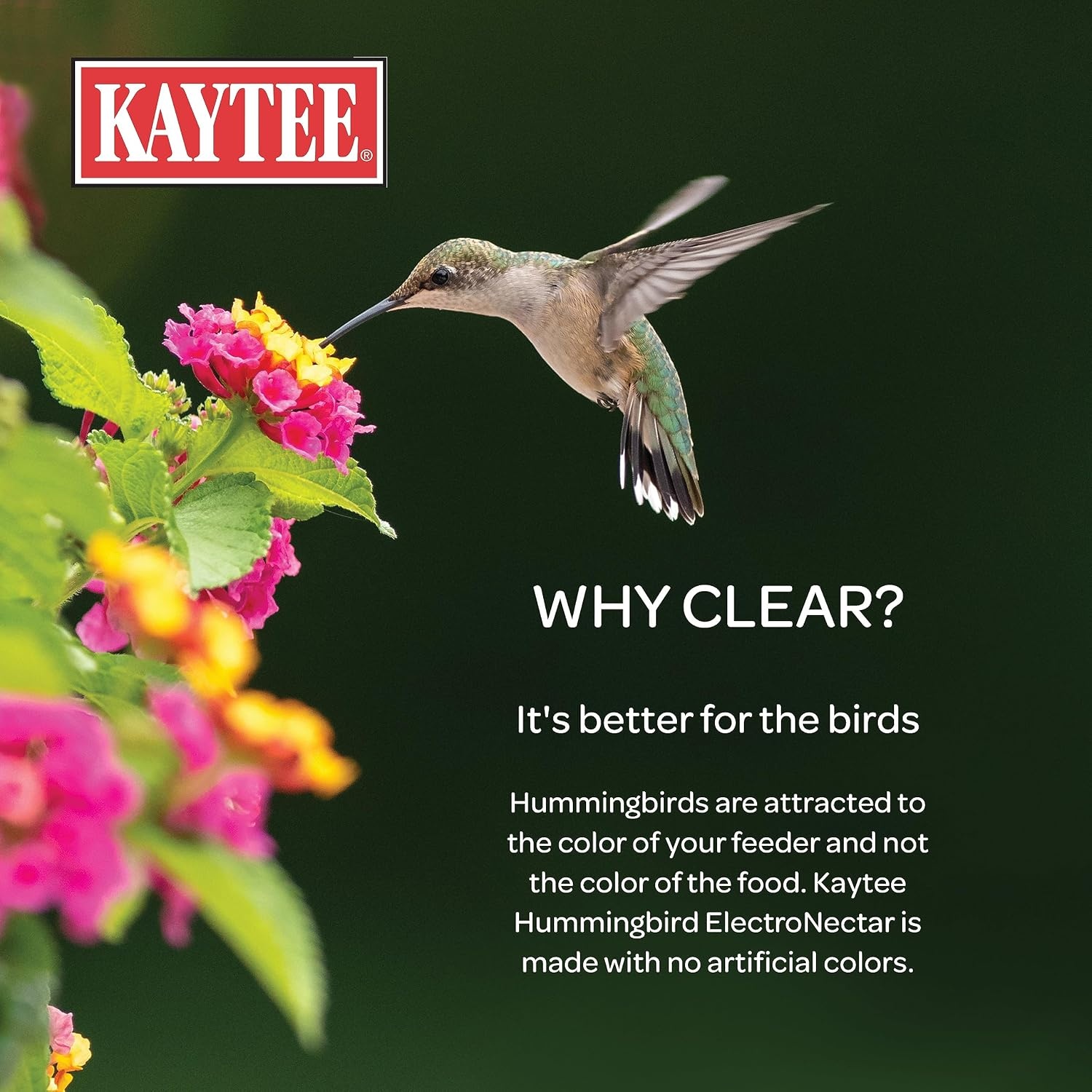 image:imageKaytee Hummingbird ElectroNectar Wild Bird Food Ready to Use 64 Ounces16 Fl Oz Pack of 4