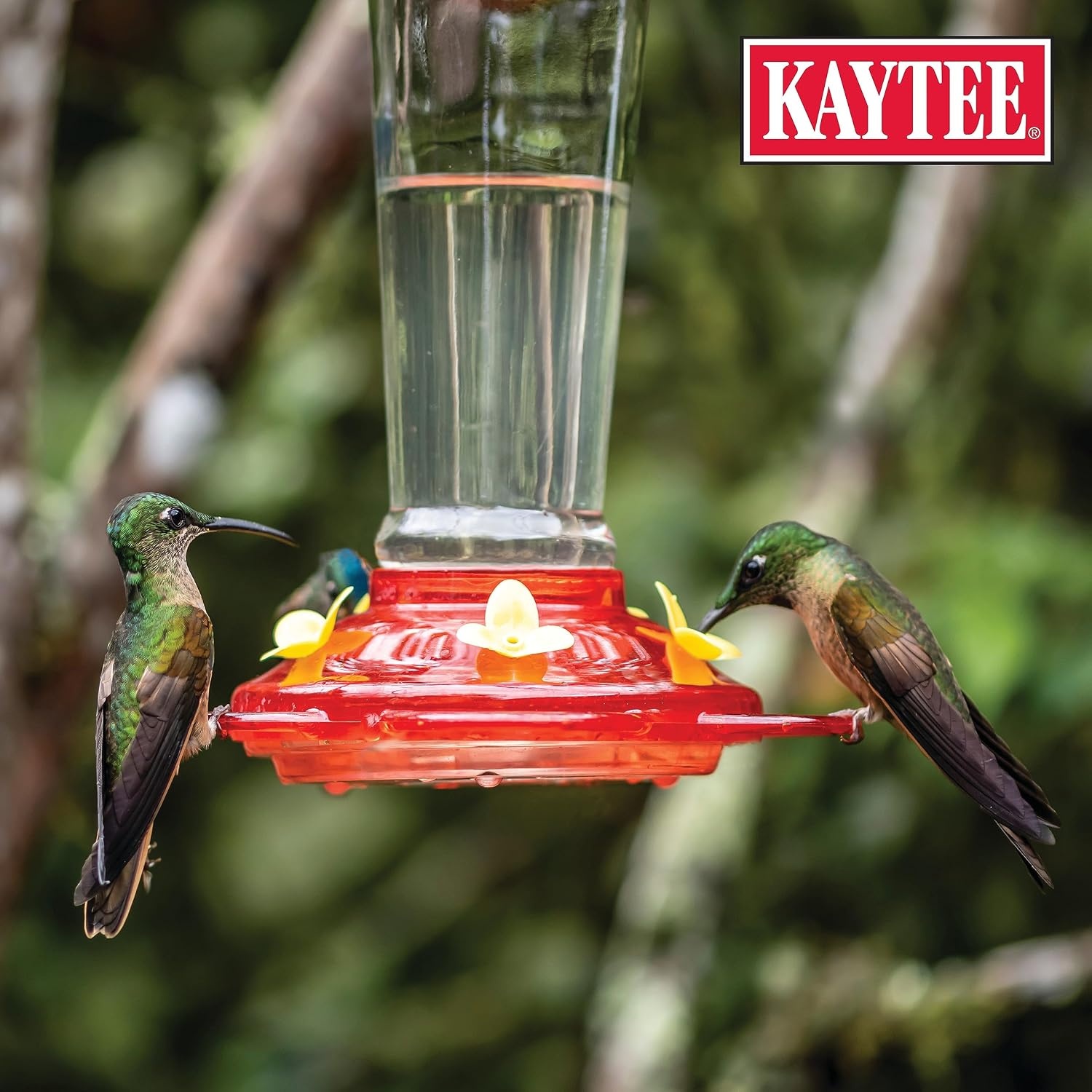 image:imageKaytee Hummingbird ElectroNectar Wild Bird Food Ready to Use 64 Ounces16 Fl Oz Pack of 4