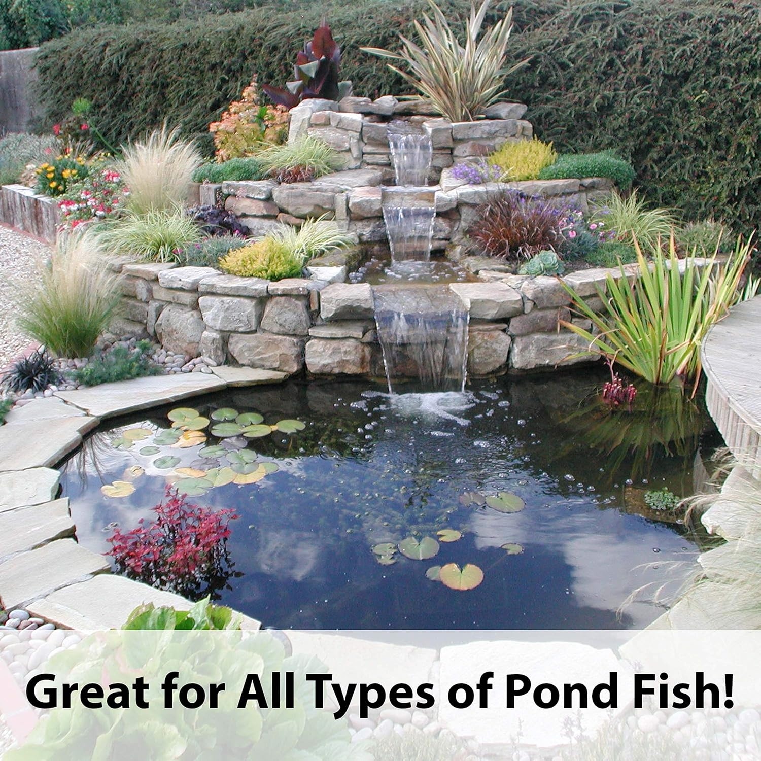 image:imageKaytee Kois Choice Floating Fish Food for Koi Goldfish amp Pond Fish10 Pound Pack of 2