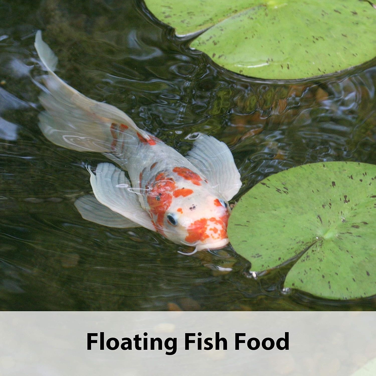 image:imageKaytee Kois Choice Floating Fish Food for Koi Goldfish amp Pond Fish10 Pound Pack of 2