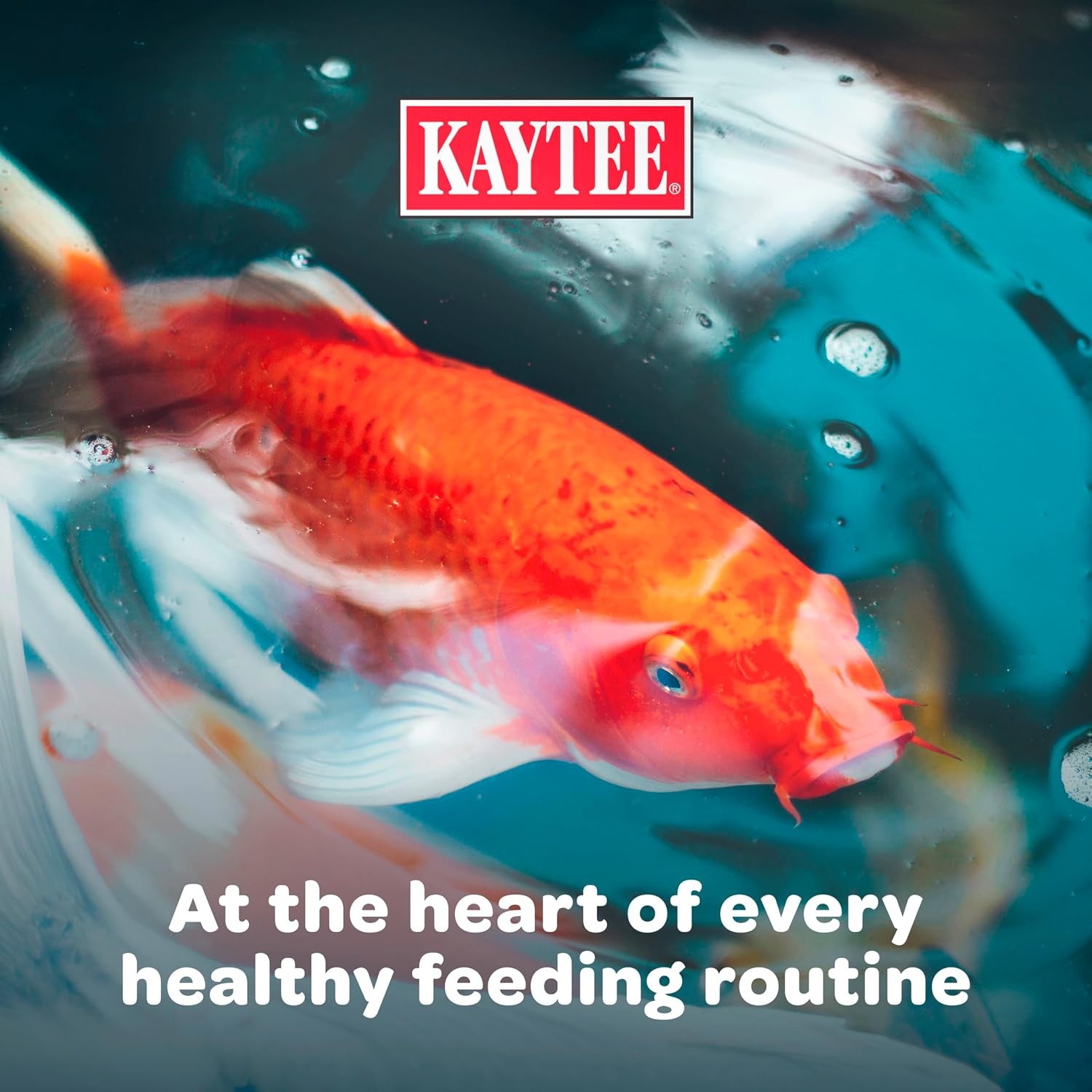 image:imageKaytee Kois Choice Floating Fish Food for Koi Goldfish amp Pond Fish10 Pound Pack of 2